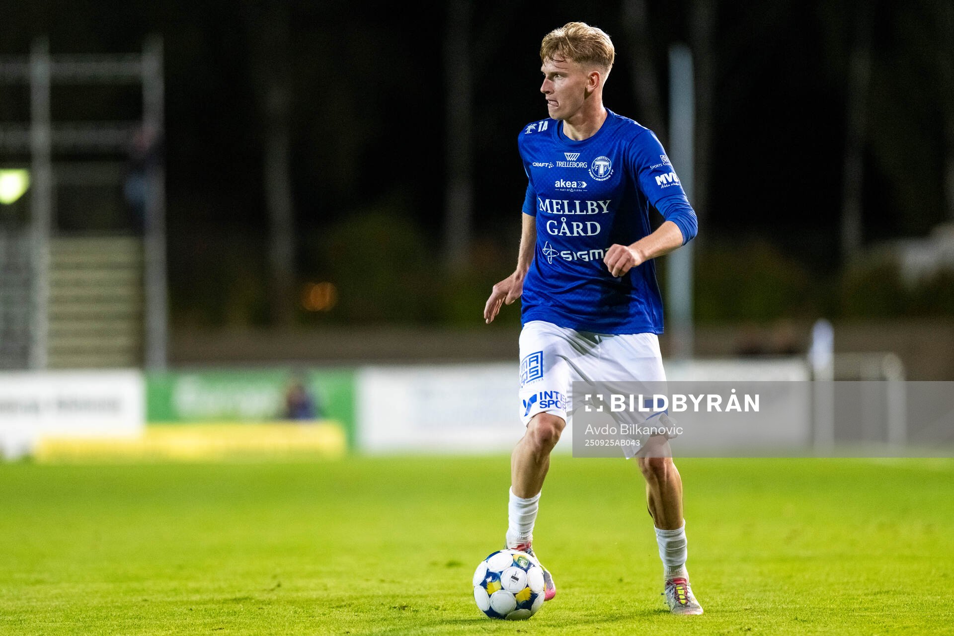 Trelleborgs Karl Wendt