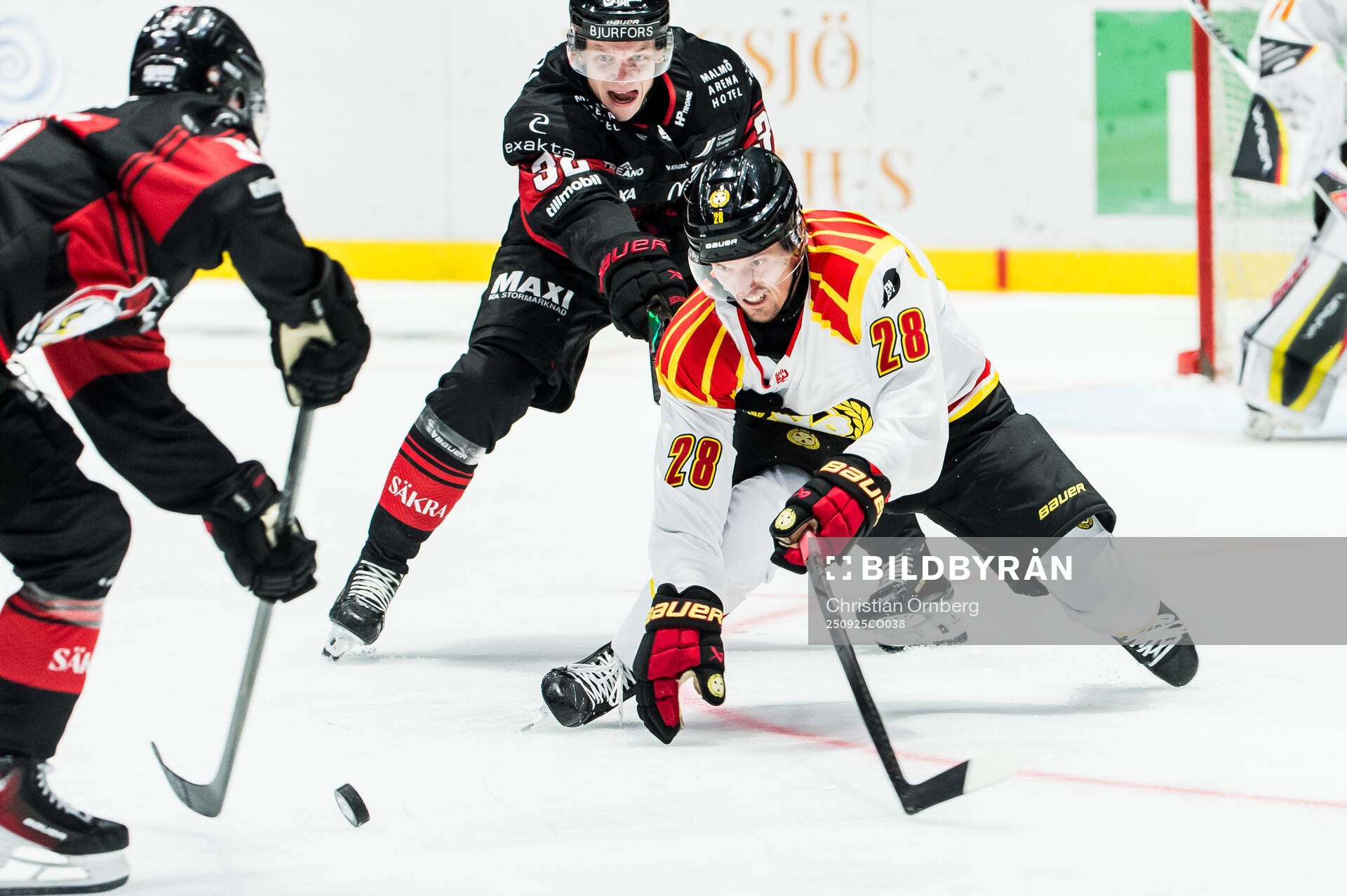 Brynäs Johannes Kinnvall och Malmö Redhawks Joona Ikonen