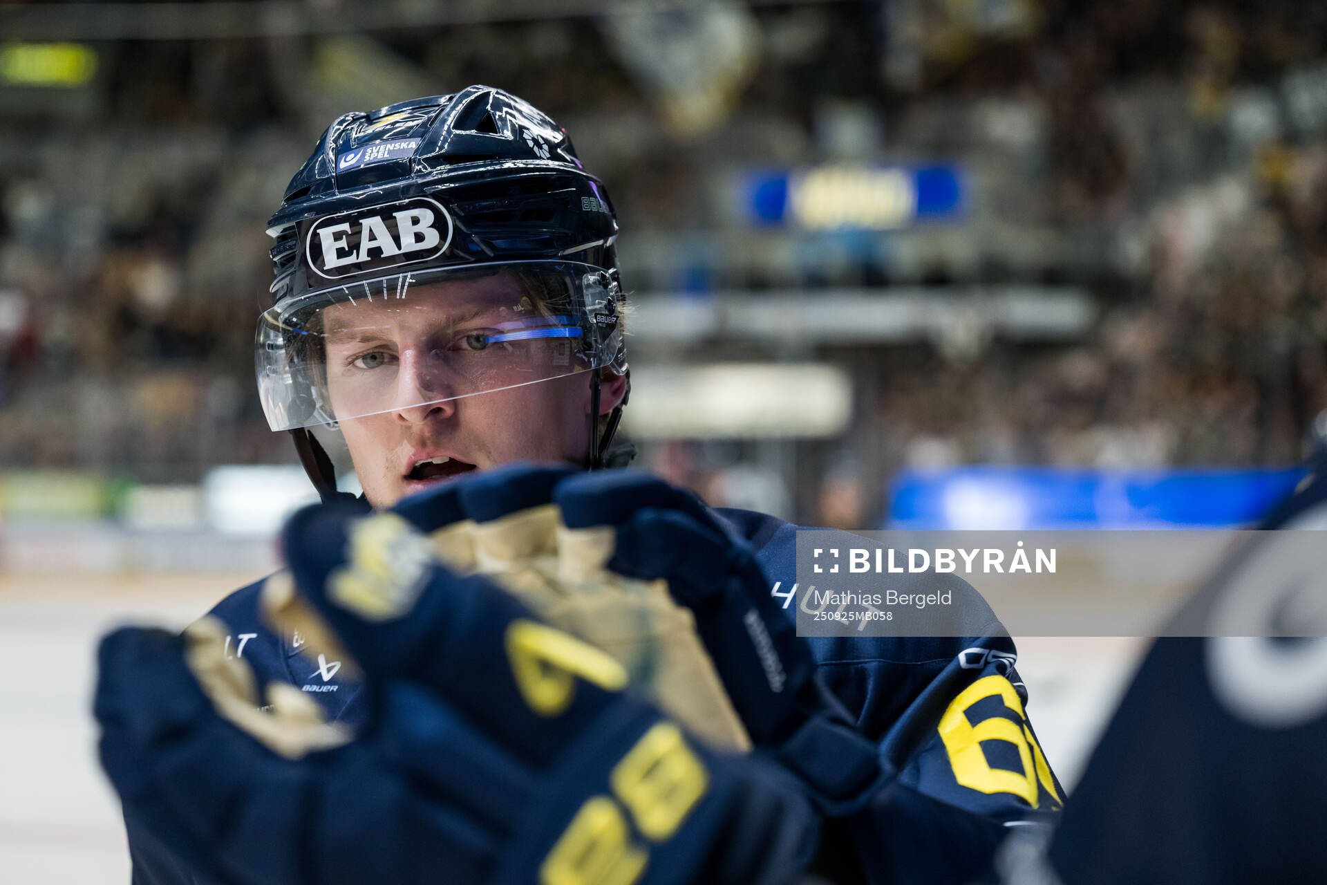 HV71s Axel Rindell jublar