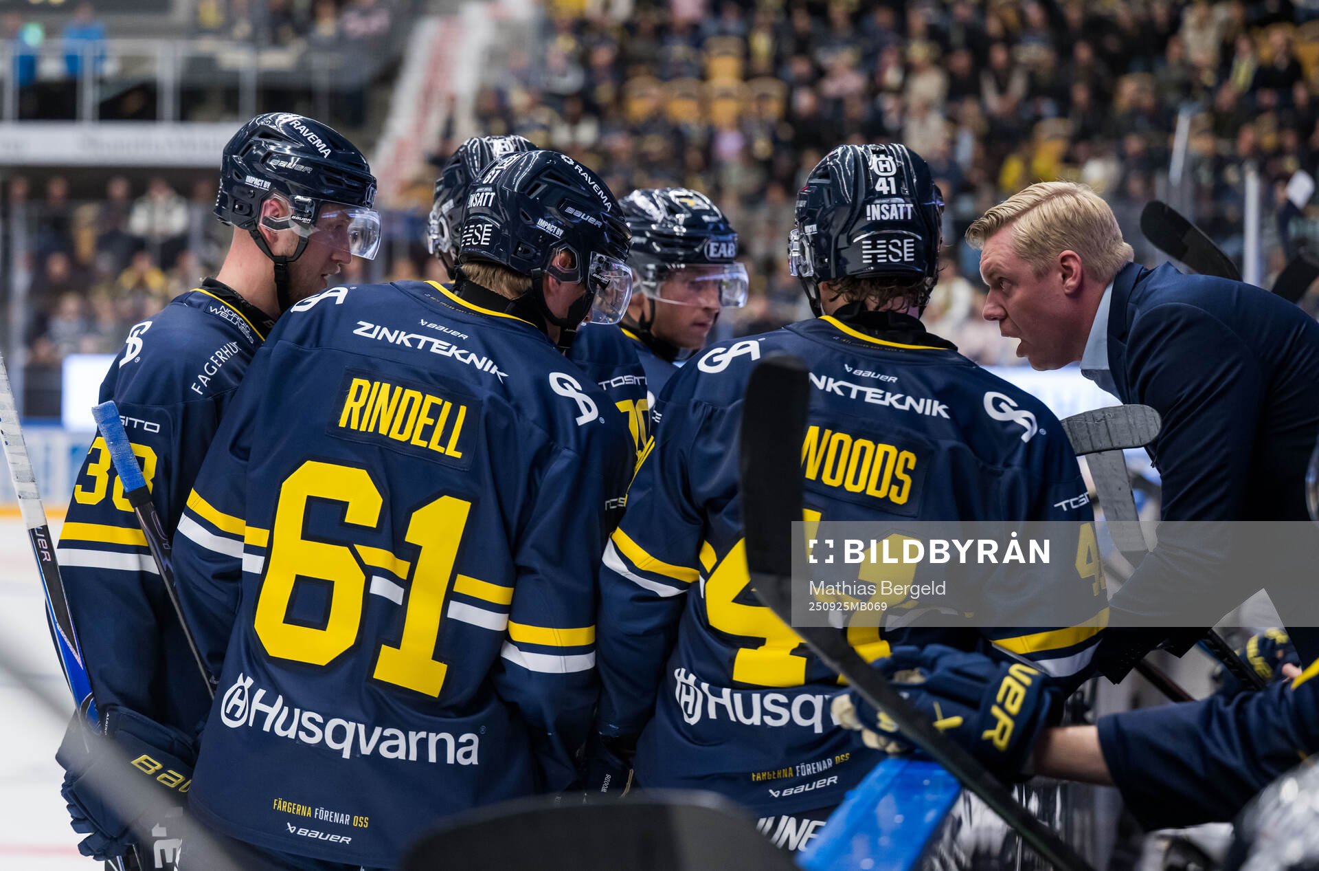 HV71s tränare Anton Blomqvist