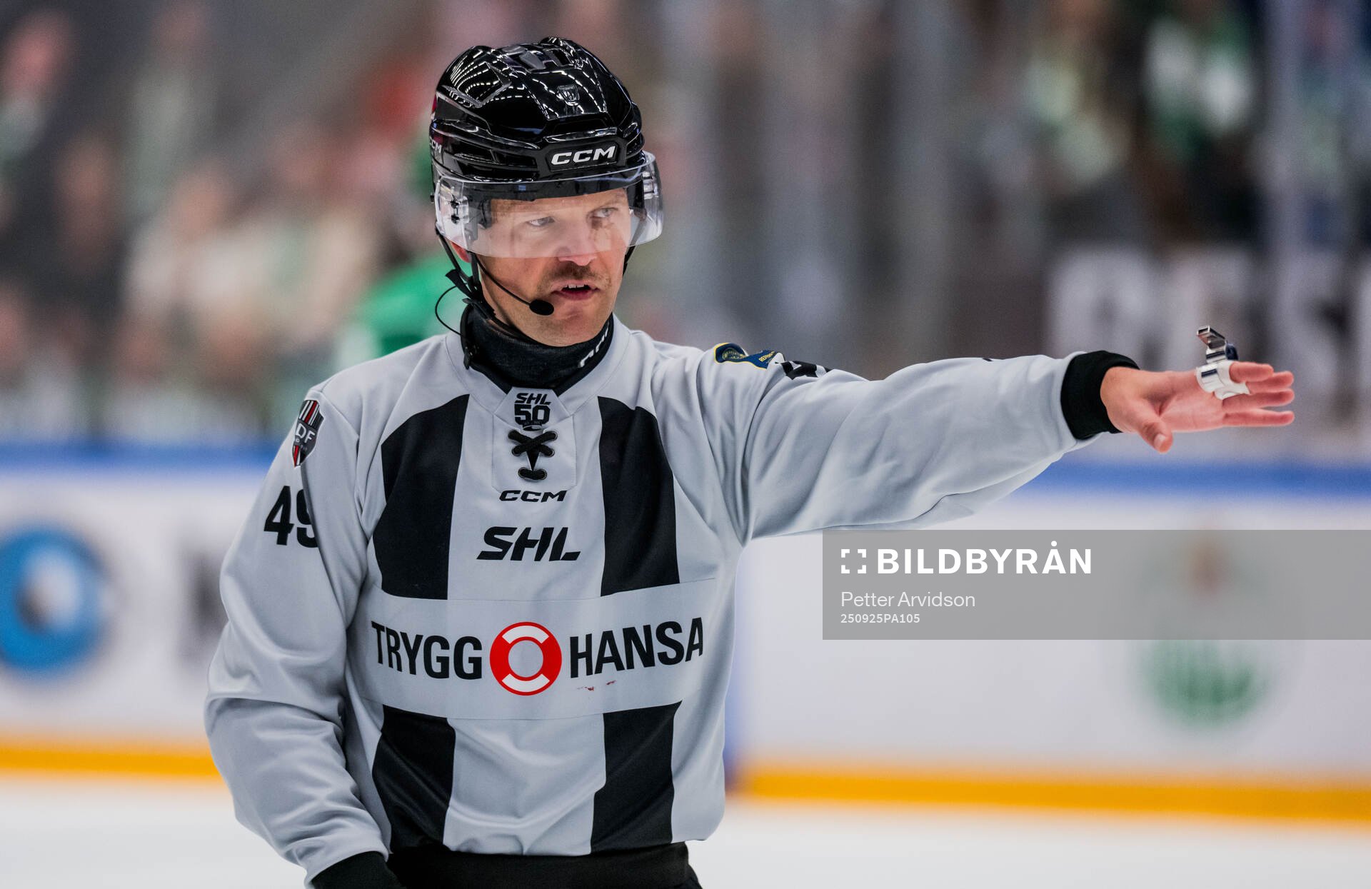 Linjedomare Ludvig Lundgren