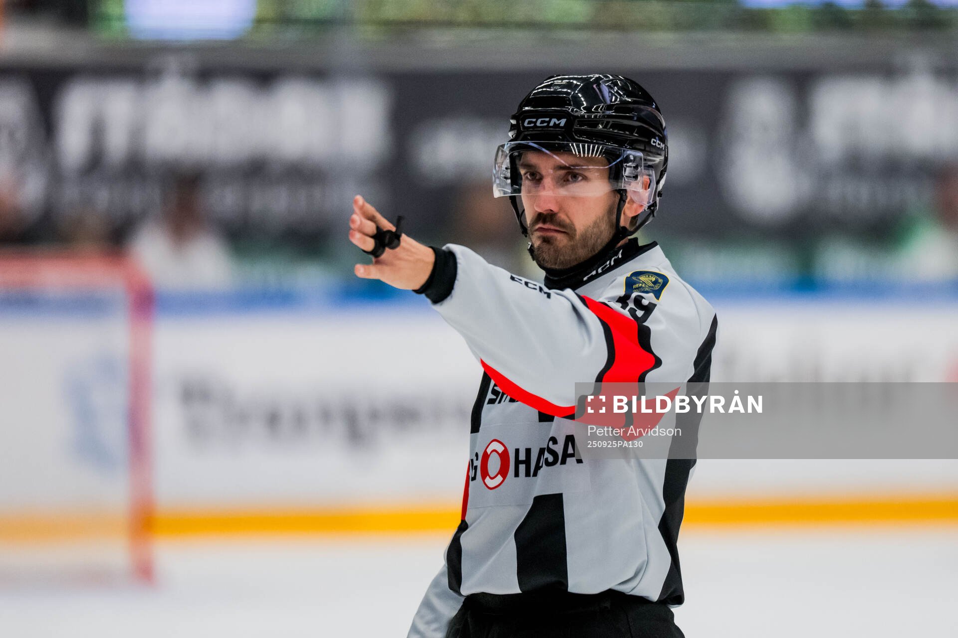 Domare Mattias Enroth