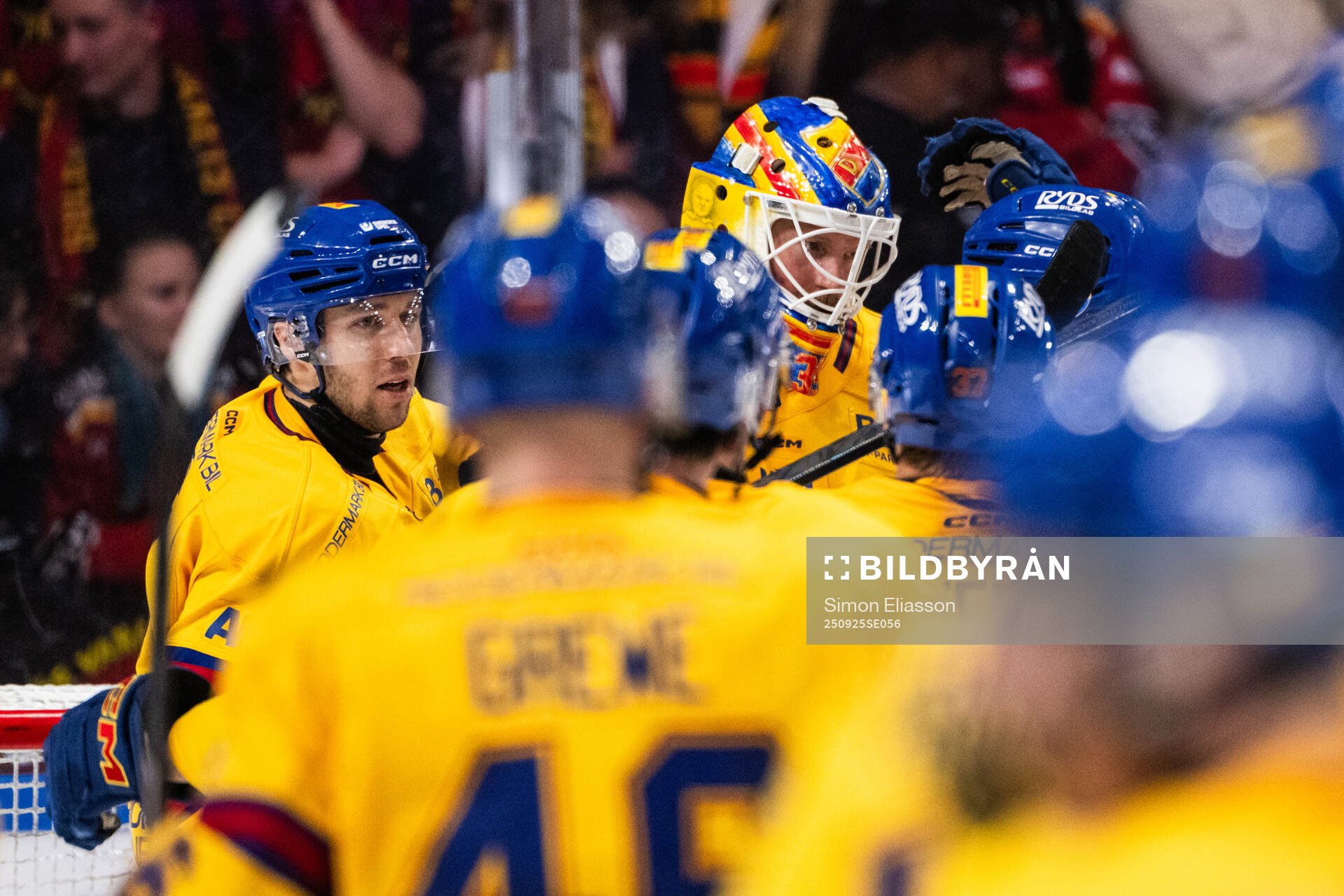 Djurgårdens målvakt Magnus Hellberg jublar med lagkamrater