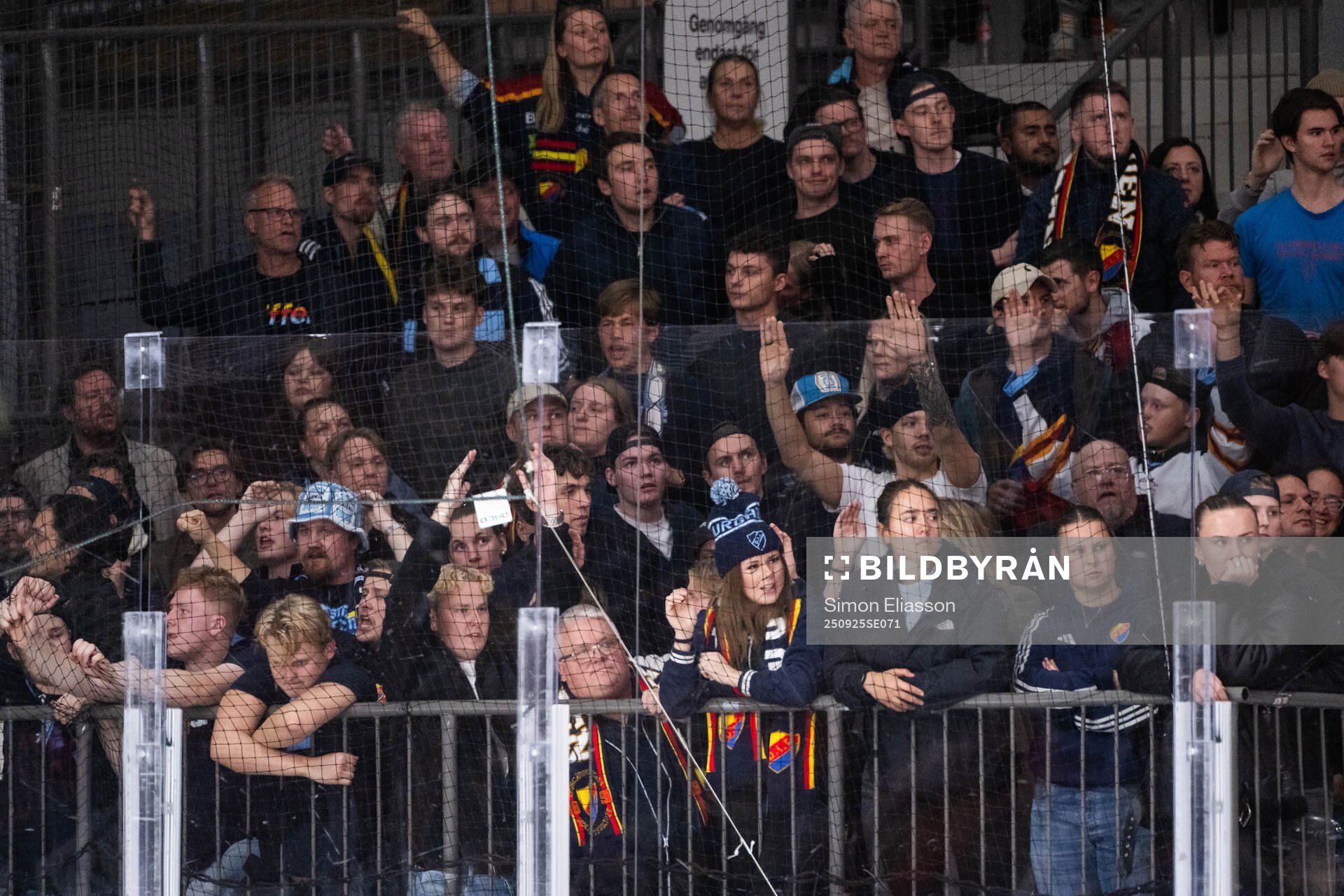 Djurgårdens supportrar