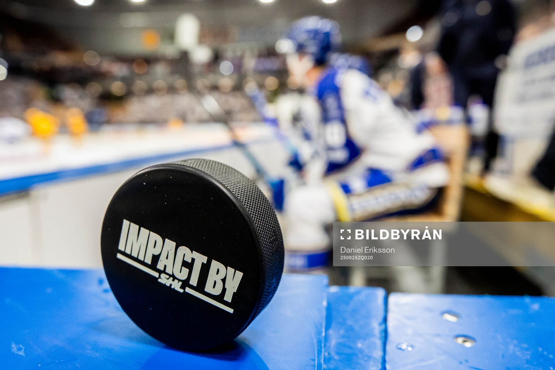 Impact by SHL puck