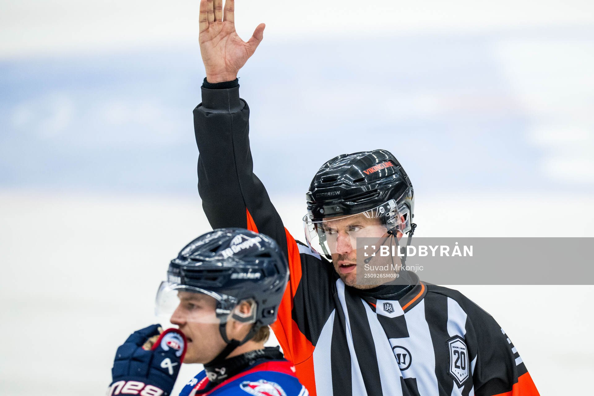 Domare Johan Magnusson