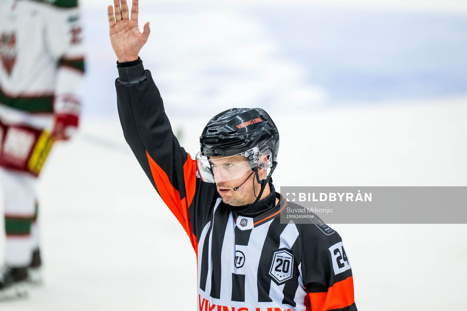 Domare Johan Magnusson