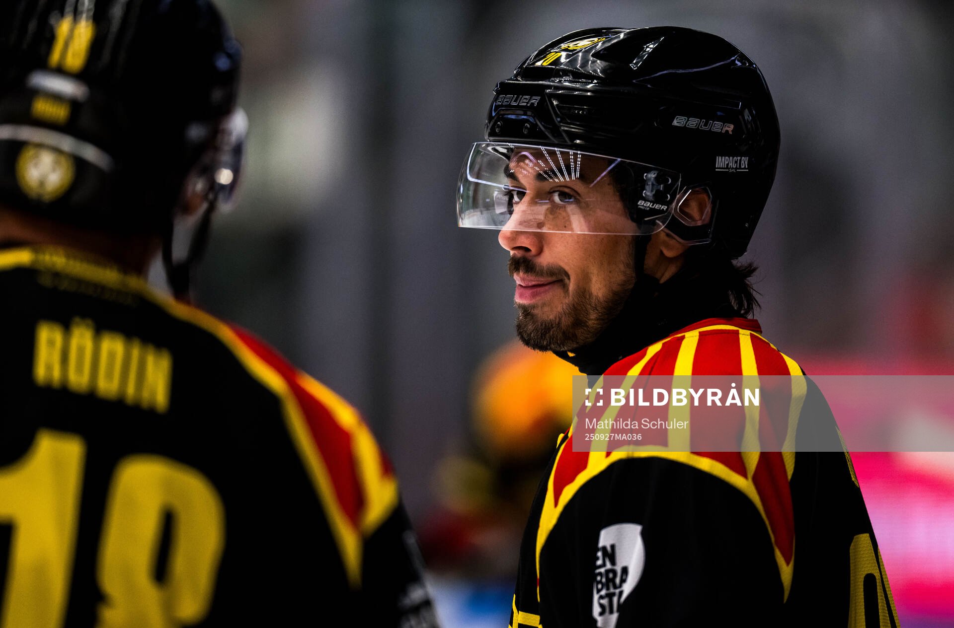 Brynäs Tyler Vesel