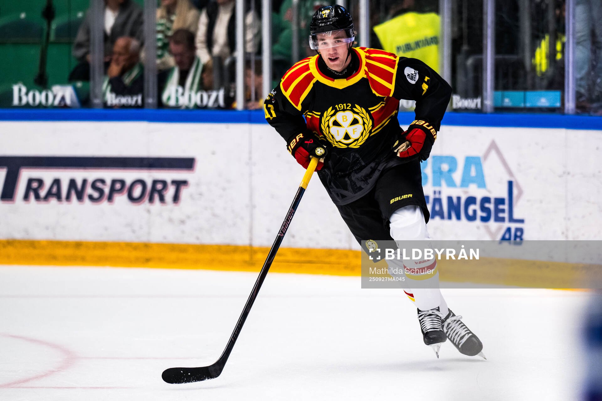 Brynäs Lucas Pettersson