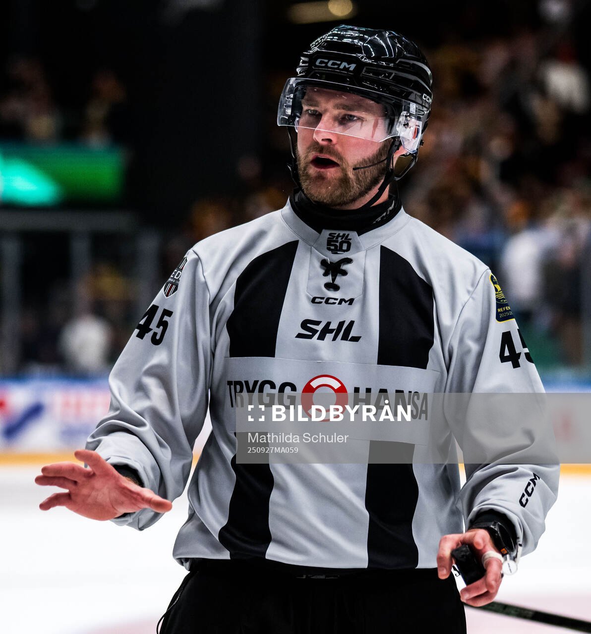 Linjedomare Andreas Svensson