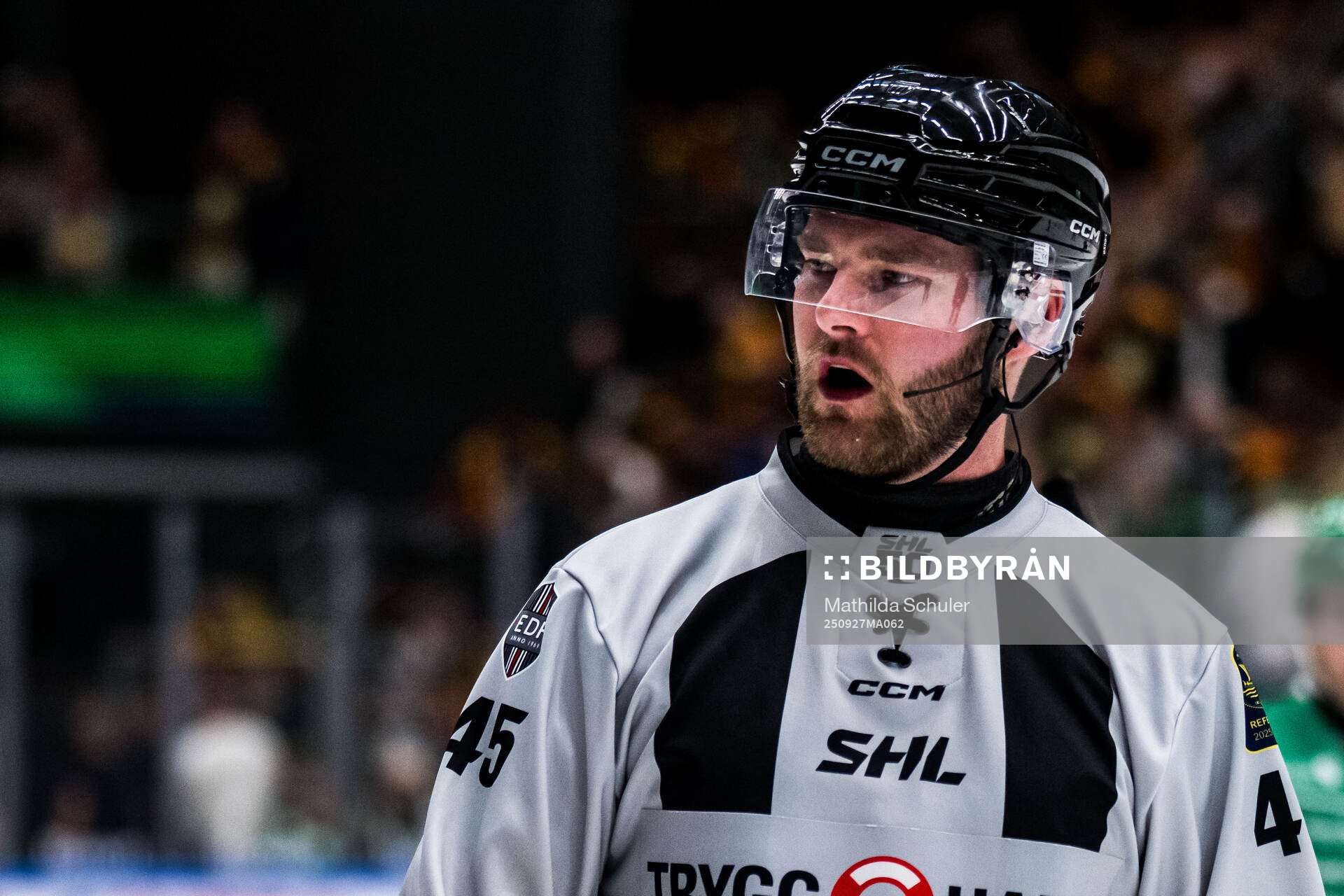 Linjedomare Andreas Svensson