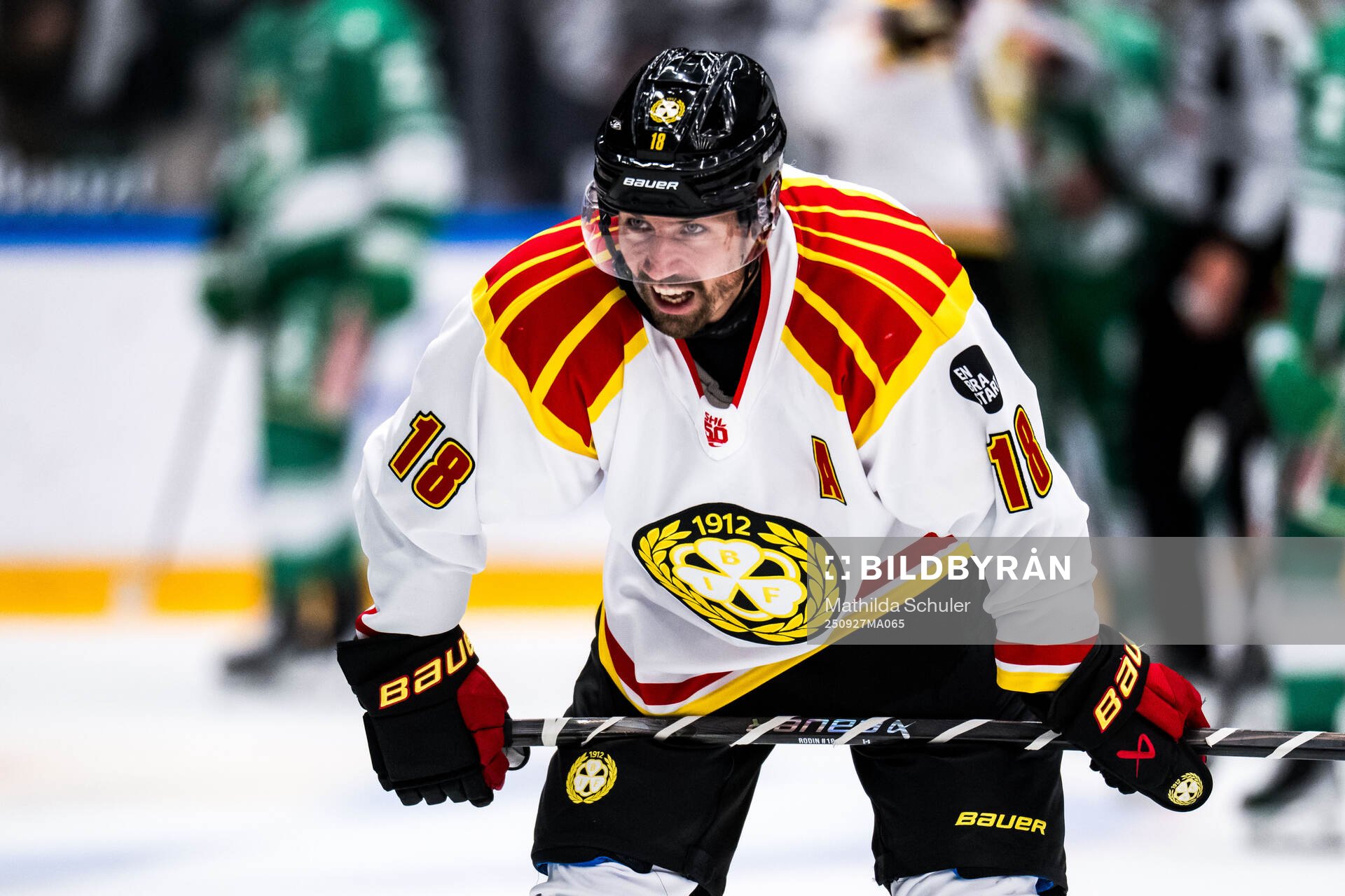 Brynäs Anton Rödin