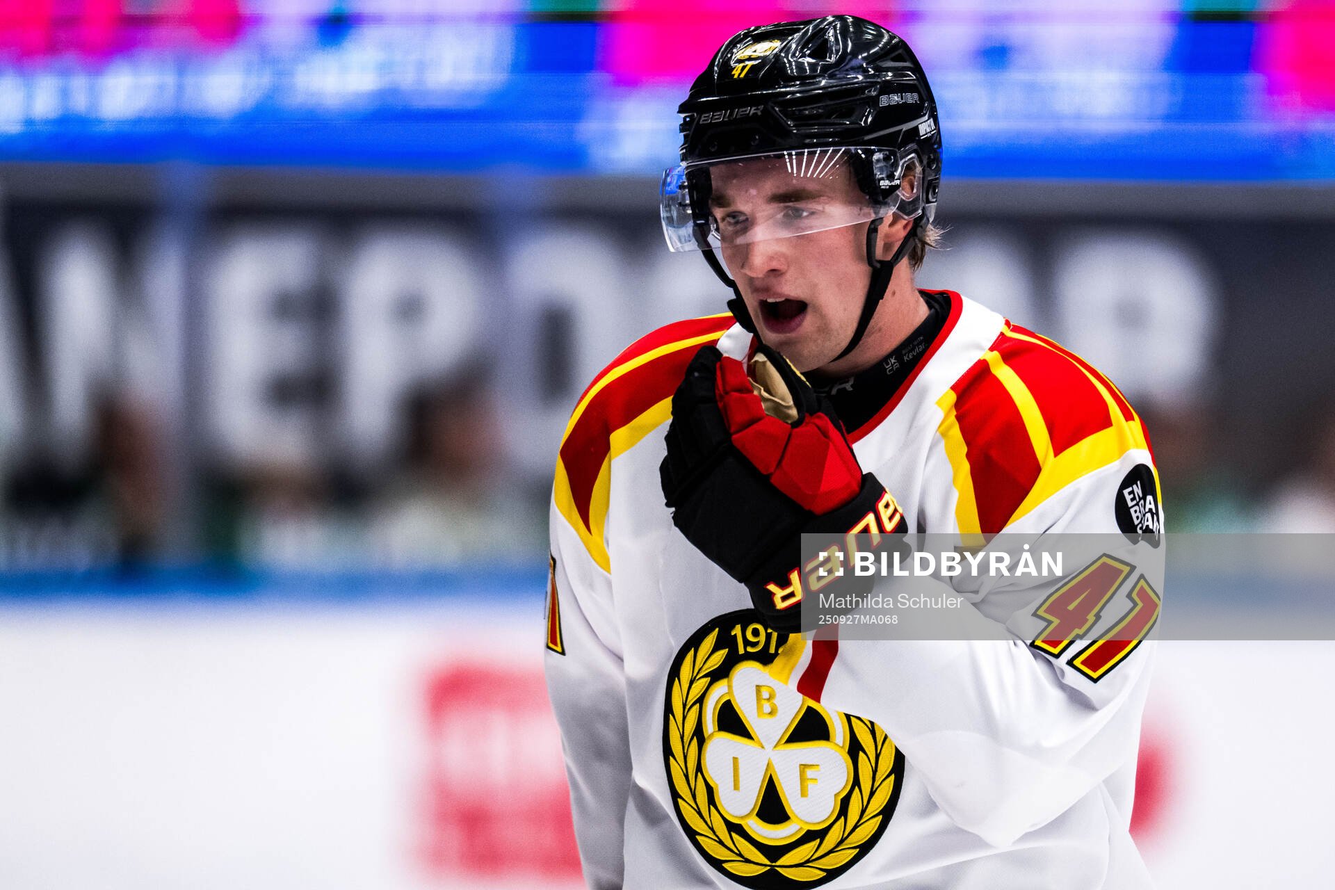 Brynäs Lucas Pettersson
