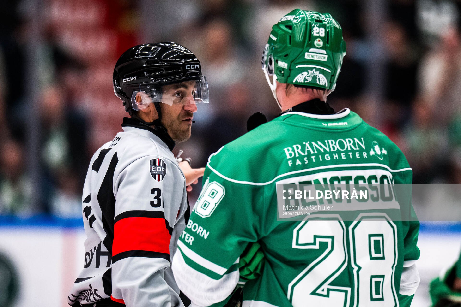 Domare Mattias Enroth