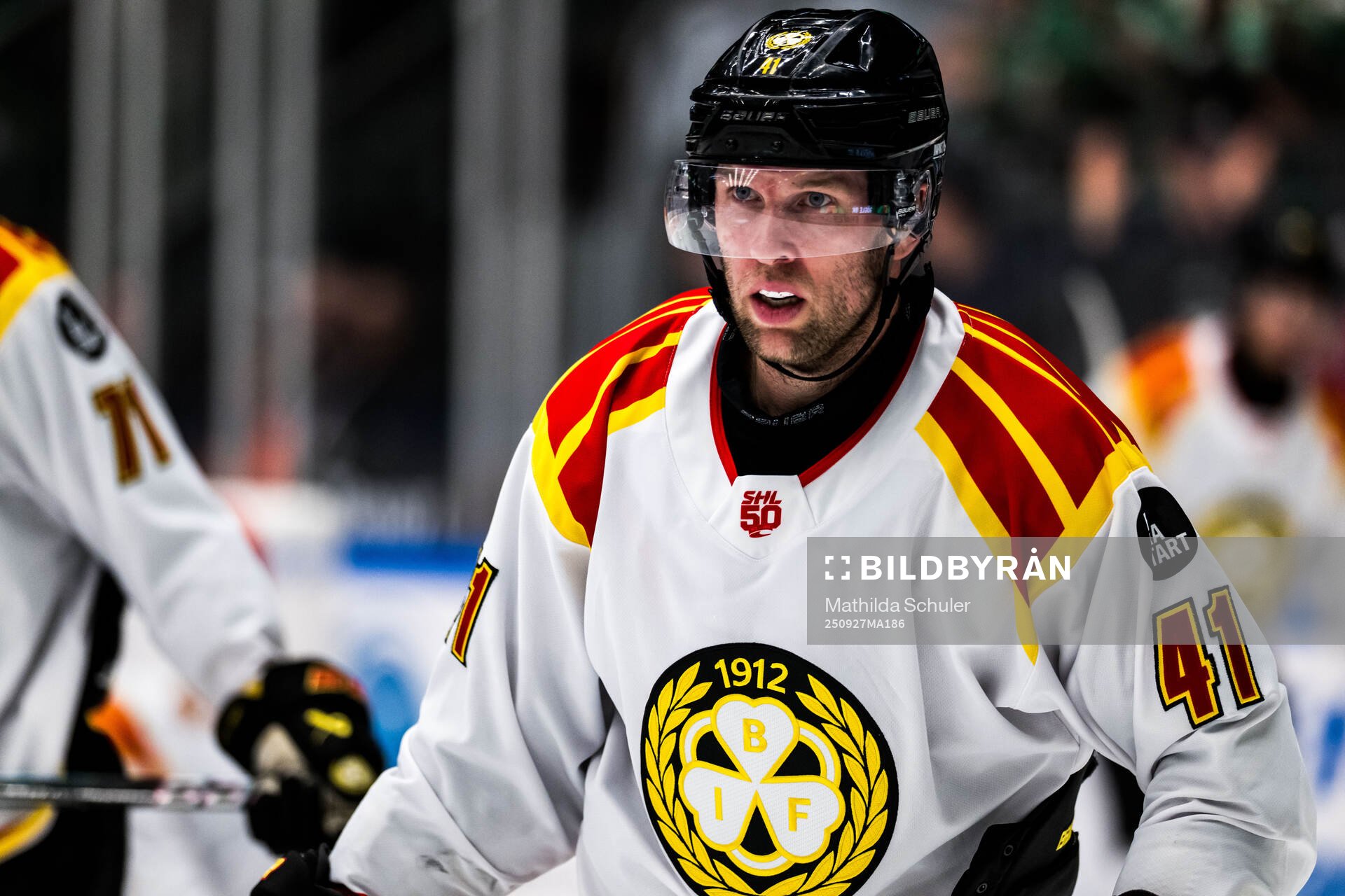 Brynäs Greg Scott