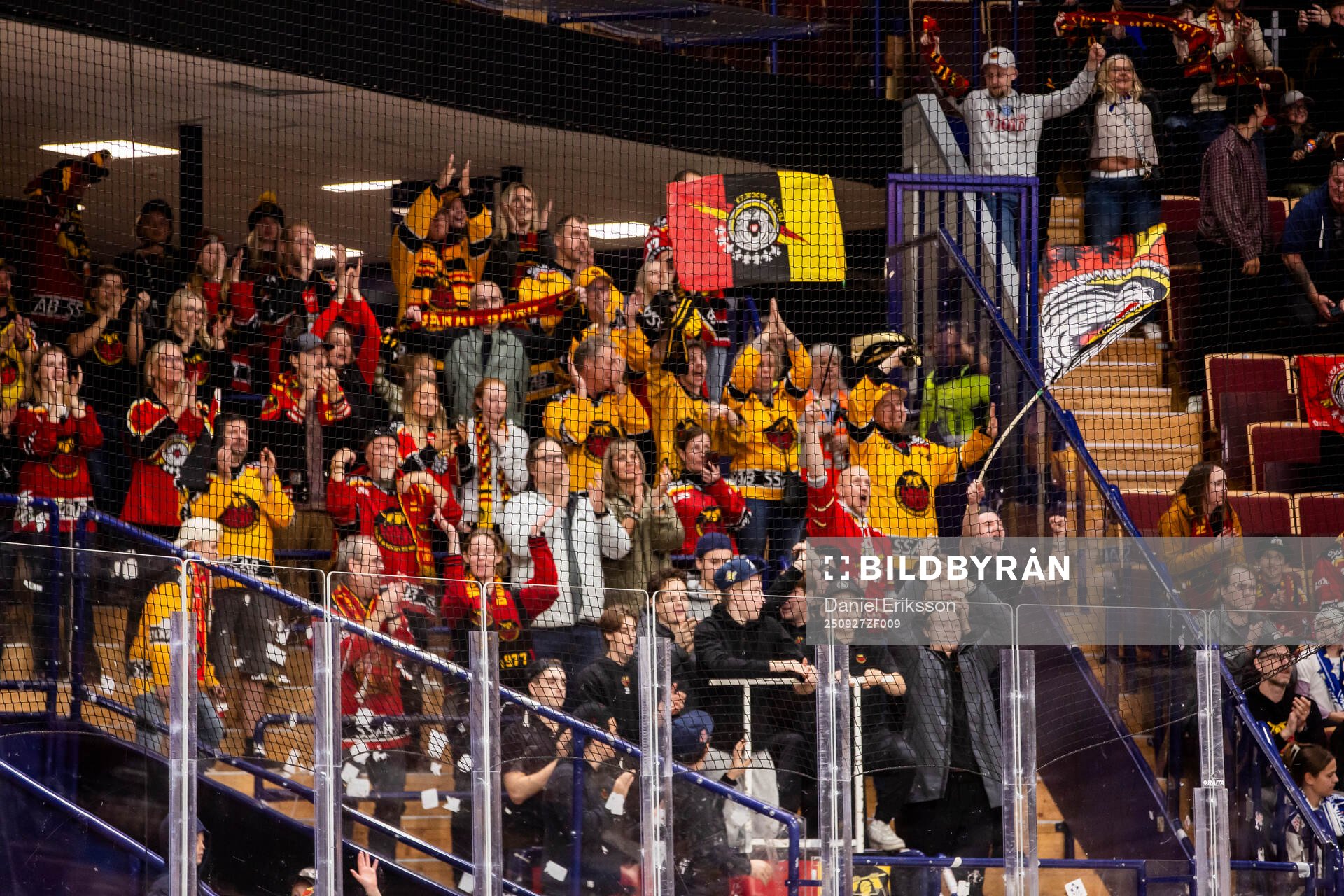 Luleås supportrarna jublar