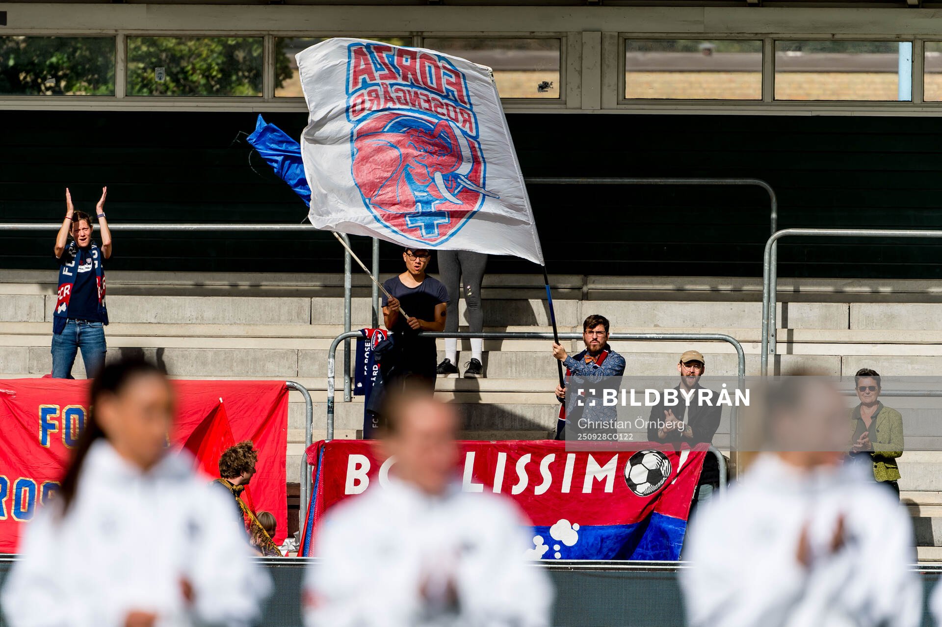 Rosengårds supportrar