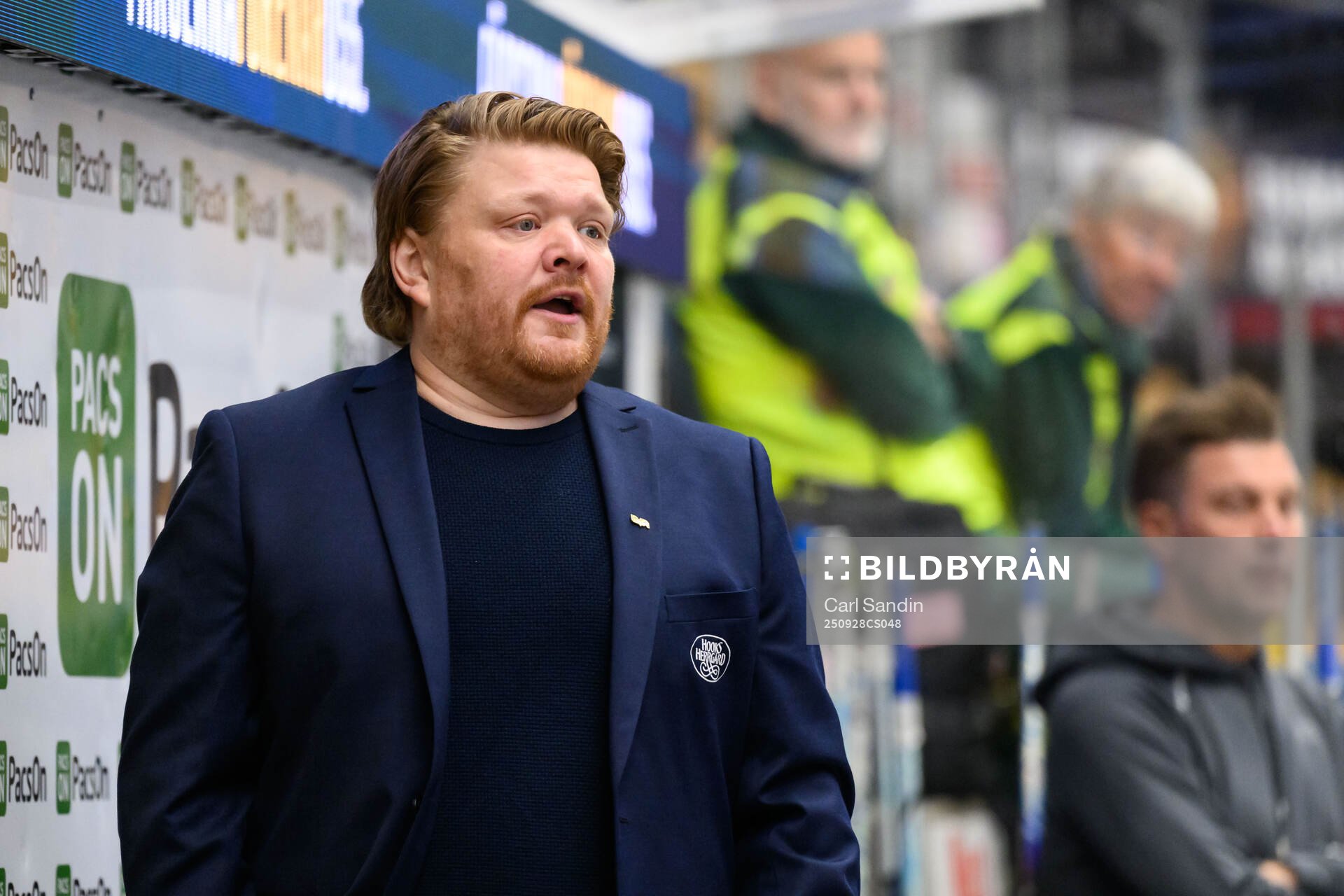 HV71s tränare Thomas Pettersen