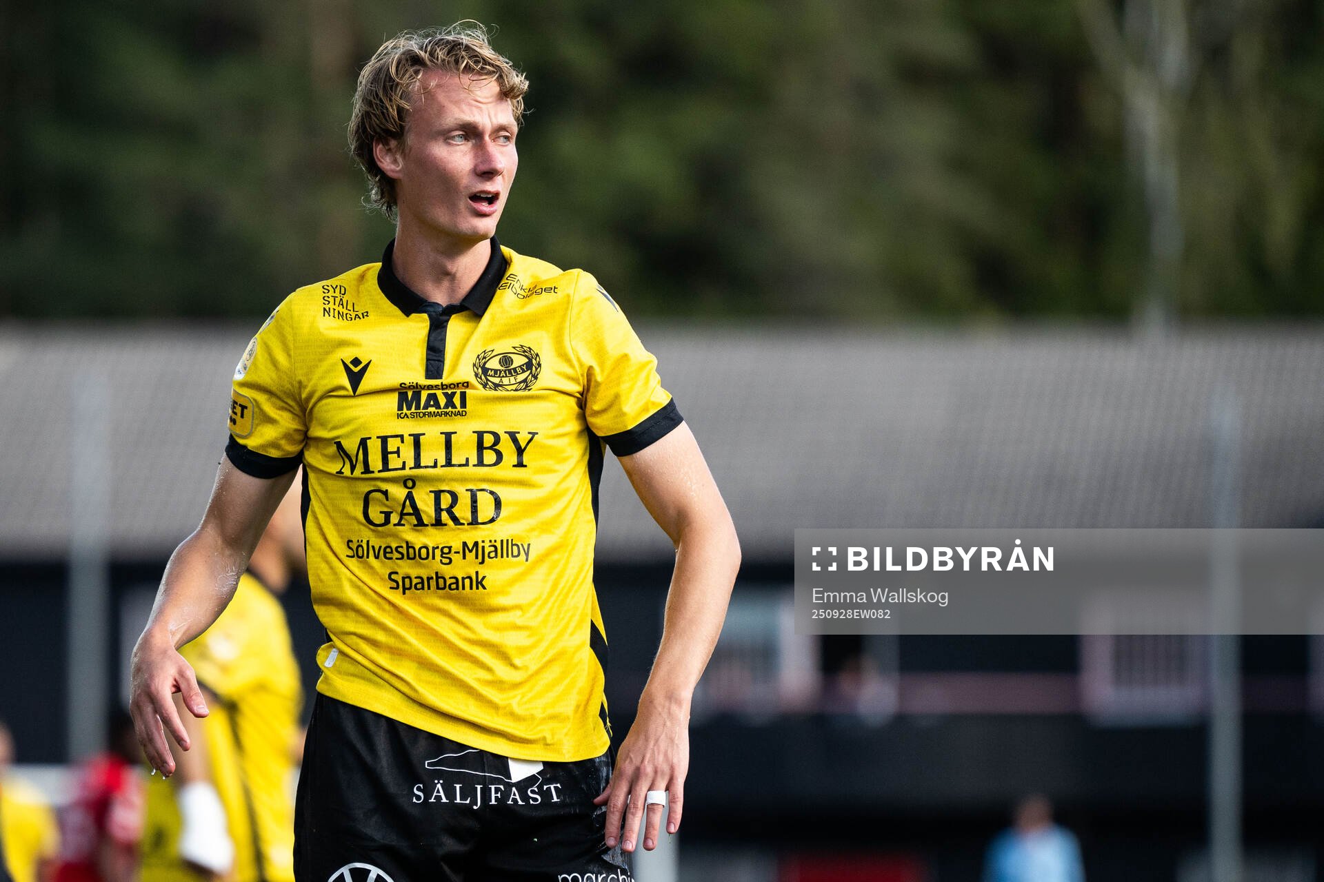 Mjällbys Alexander Johansson deppar