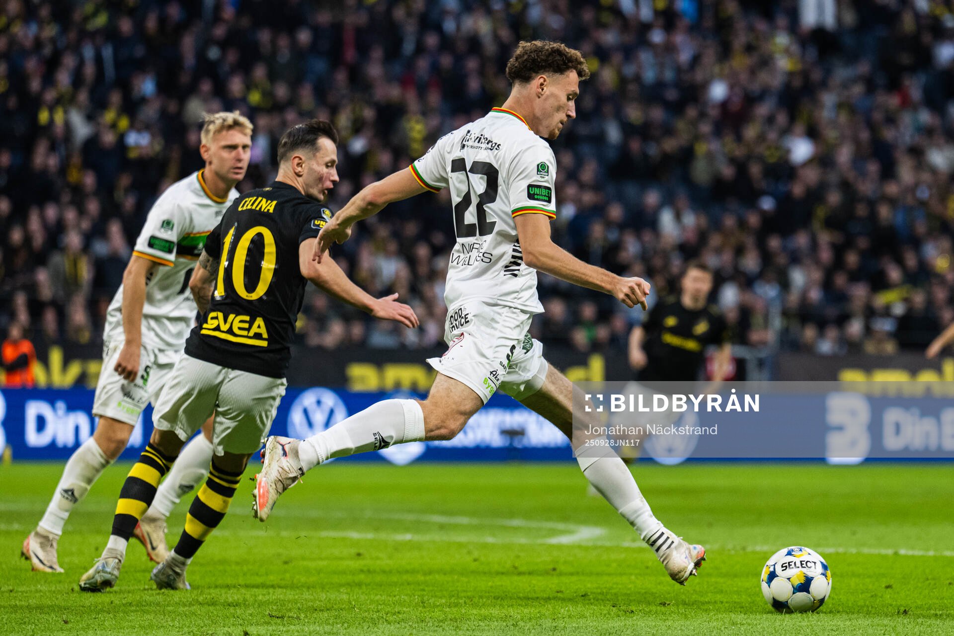 GAIS Anes Cardaklija
