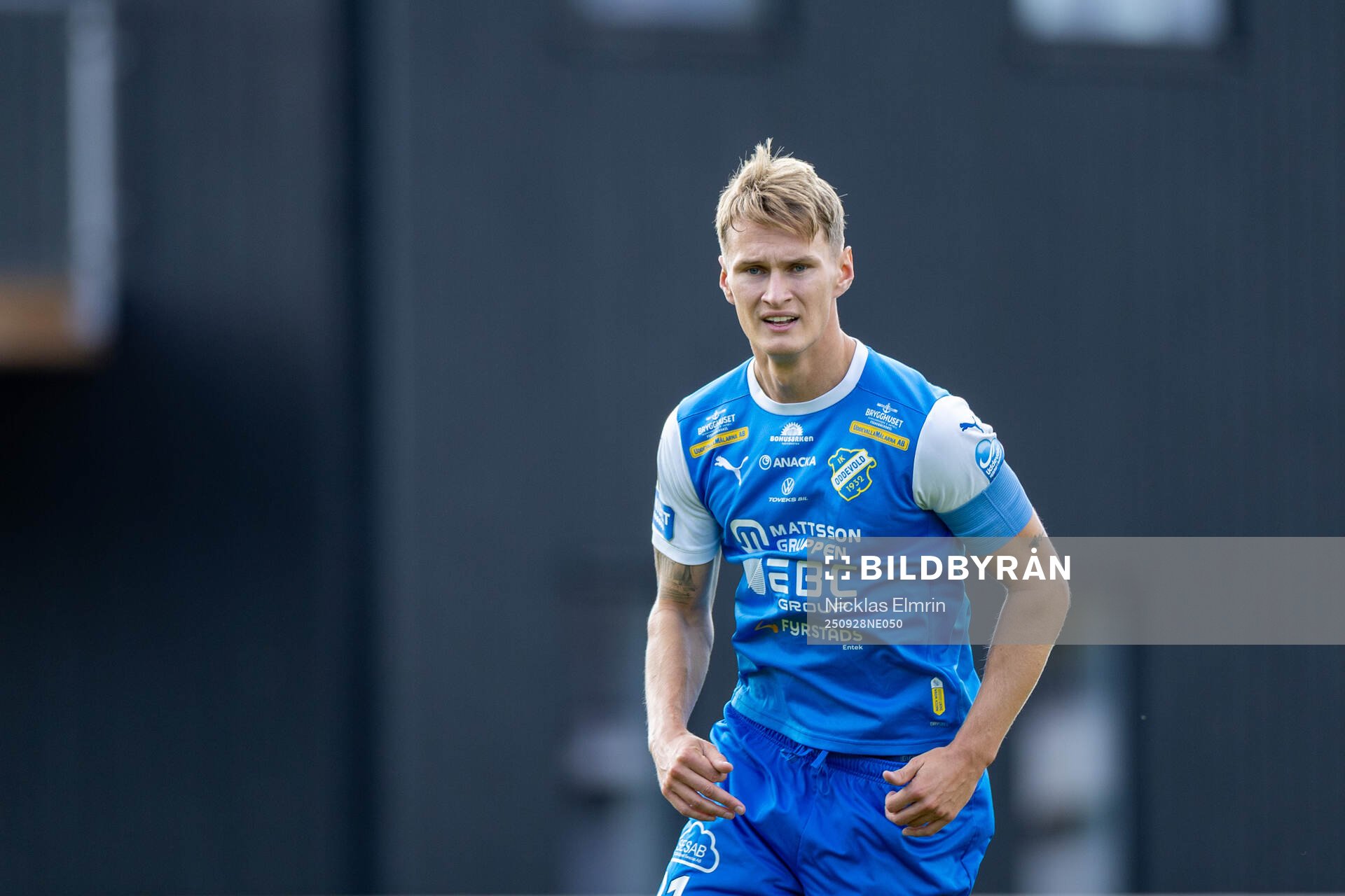 Oddevolds Alexander Almqvist