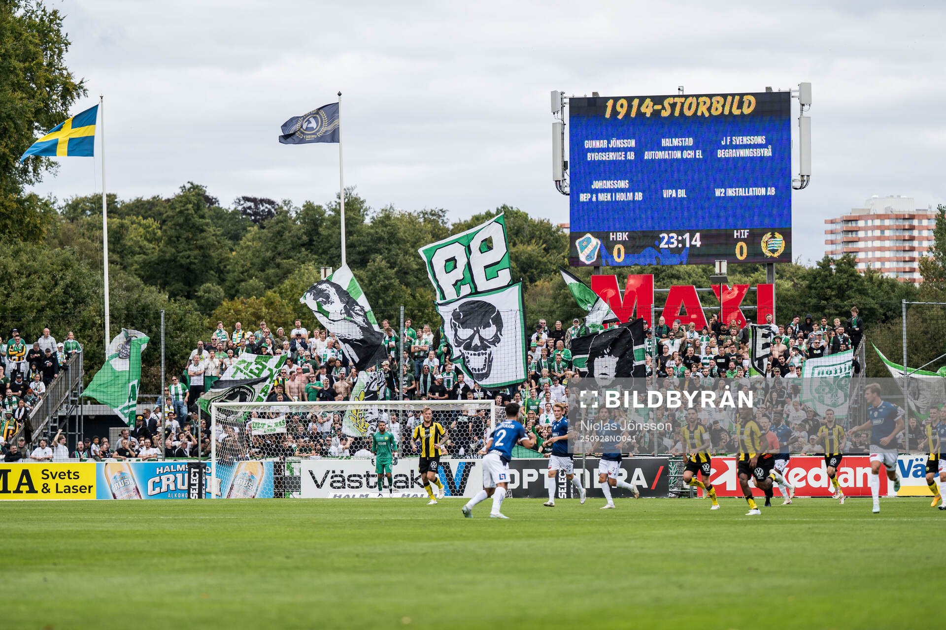 Hammarby supportrarna