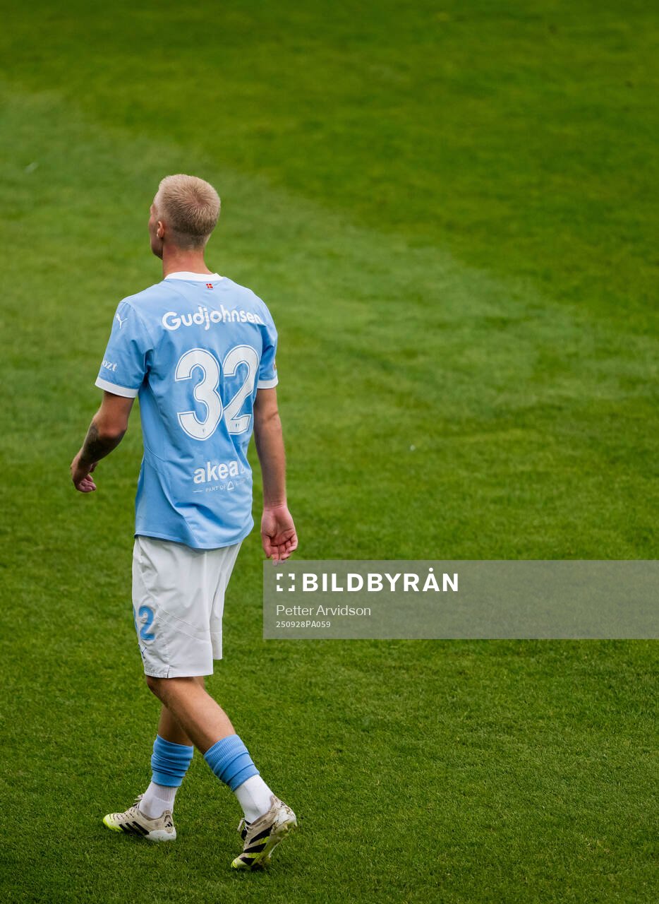Malmö FFs Daniel Gudjohnsen
