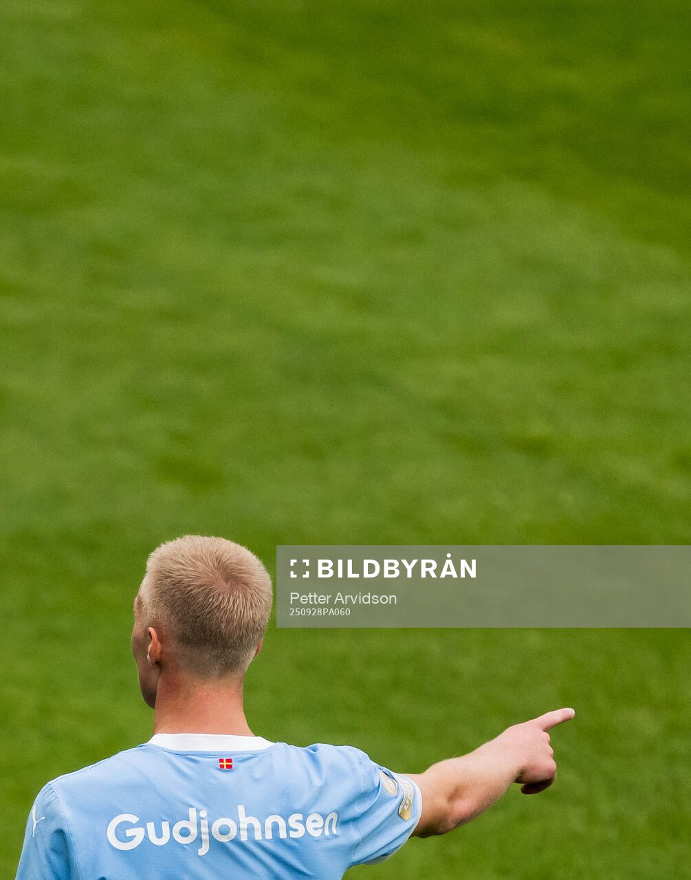 Malmö FFs Daniel Gudjohnsen