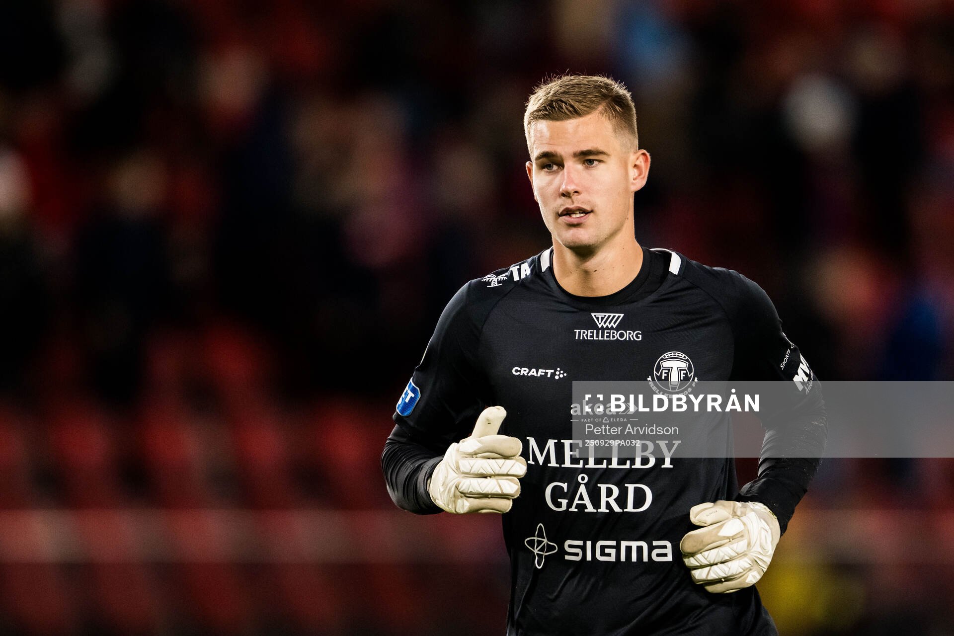 Trelleborgs målvakt Mathias Nilsson