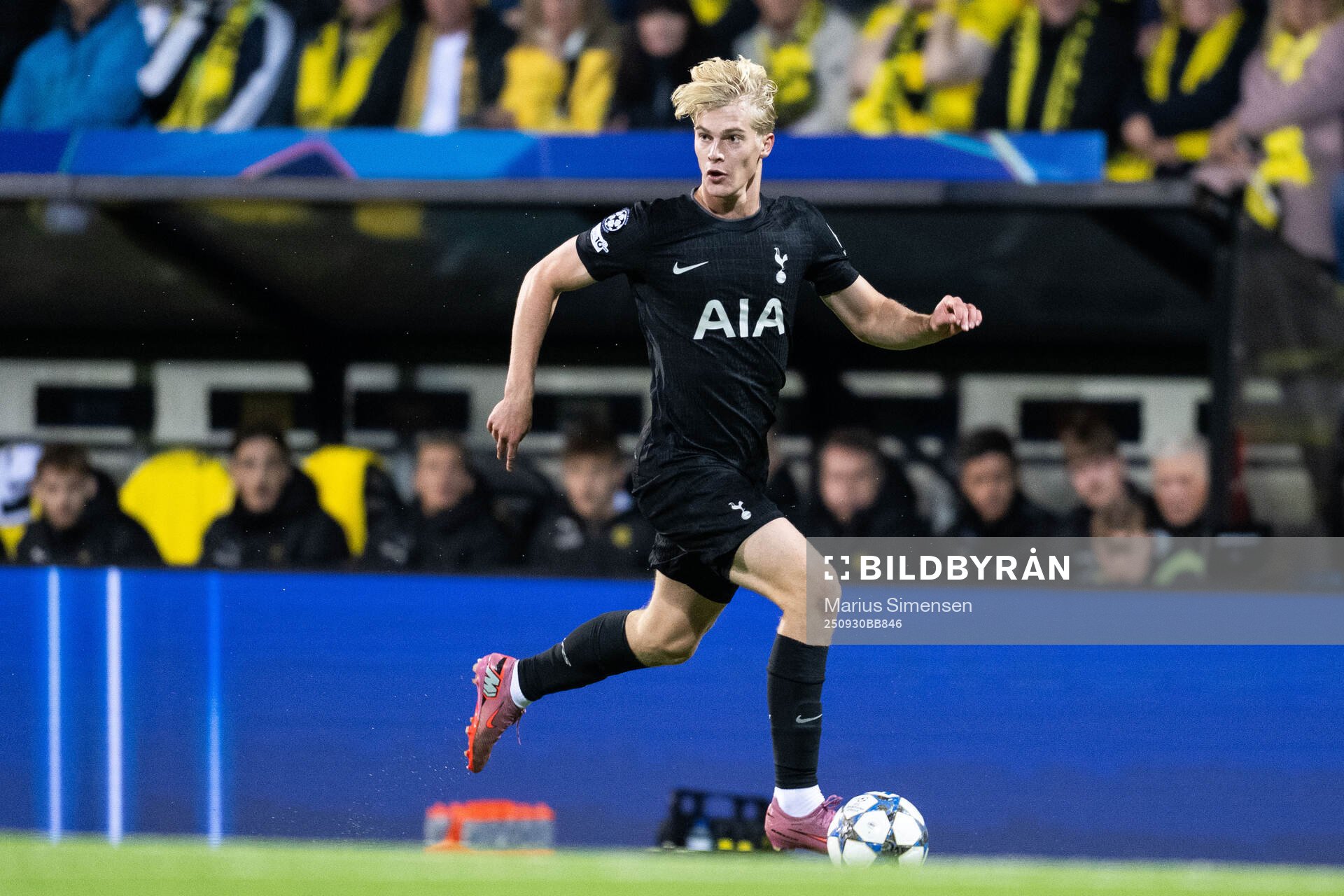 Lucas Bergvall of Tottenham Hotspur