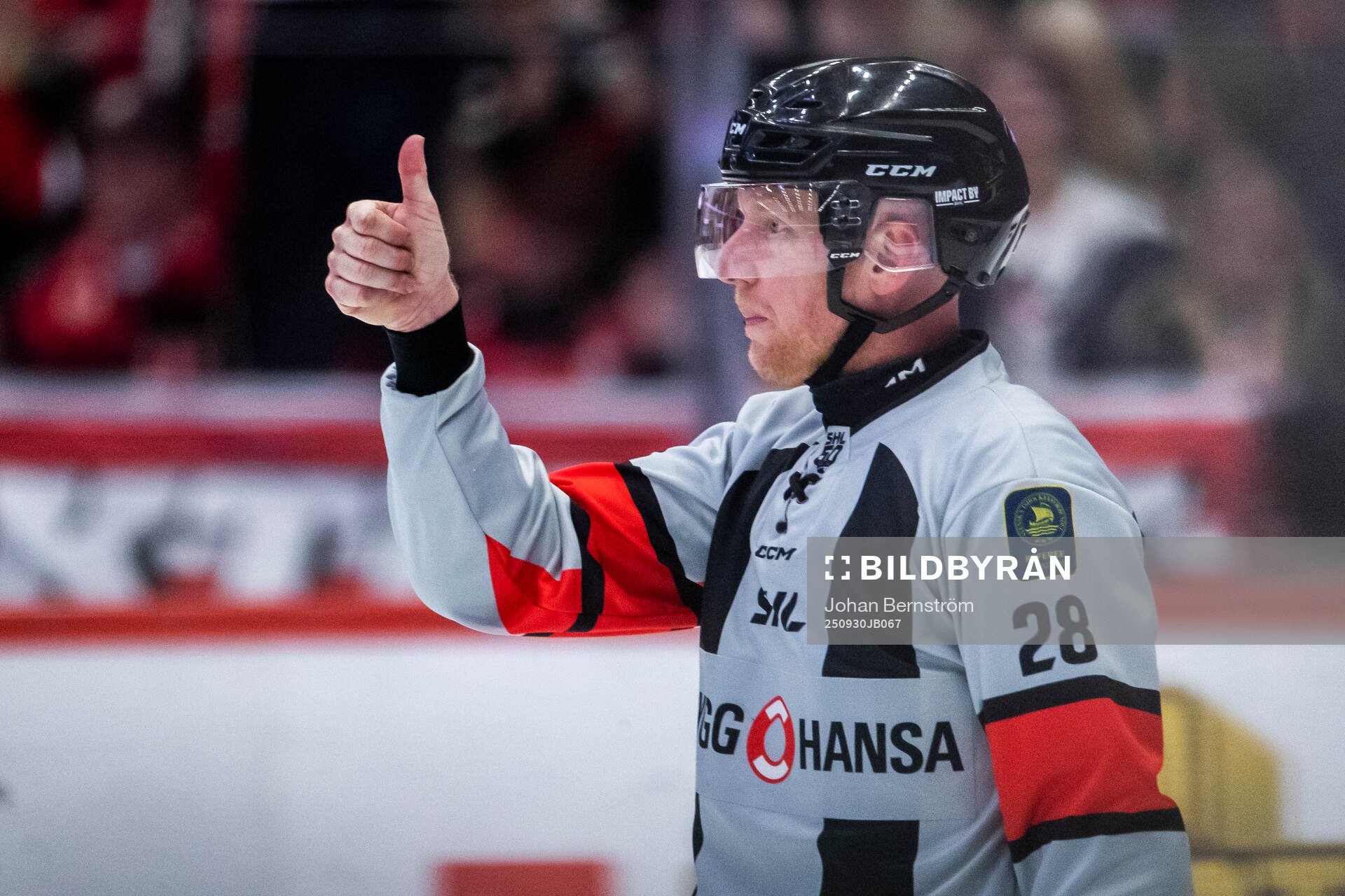 Domare Mikael Holm gör tummen upp