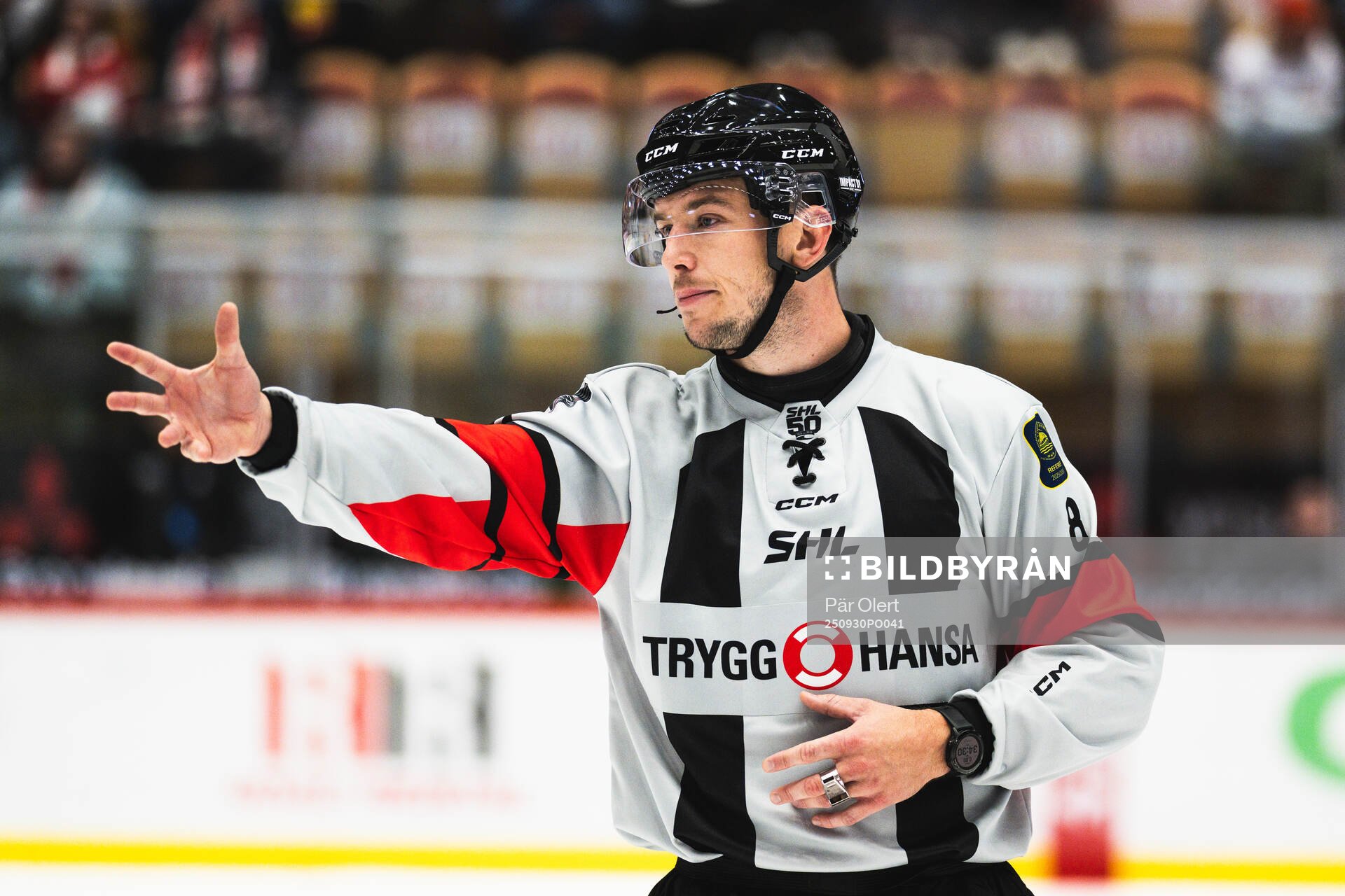 Domare Oscar Niklasson
