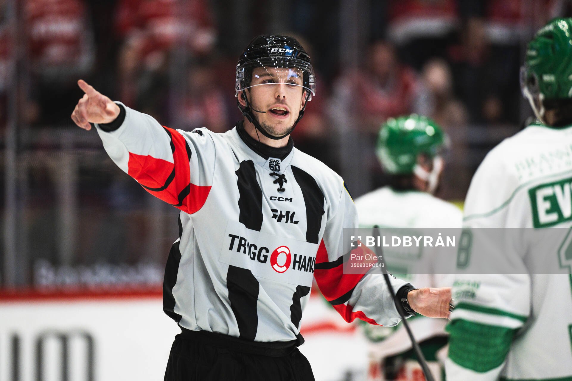Domare Oscar Niklasson