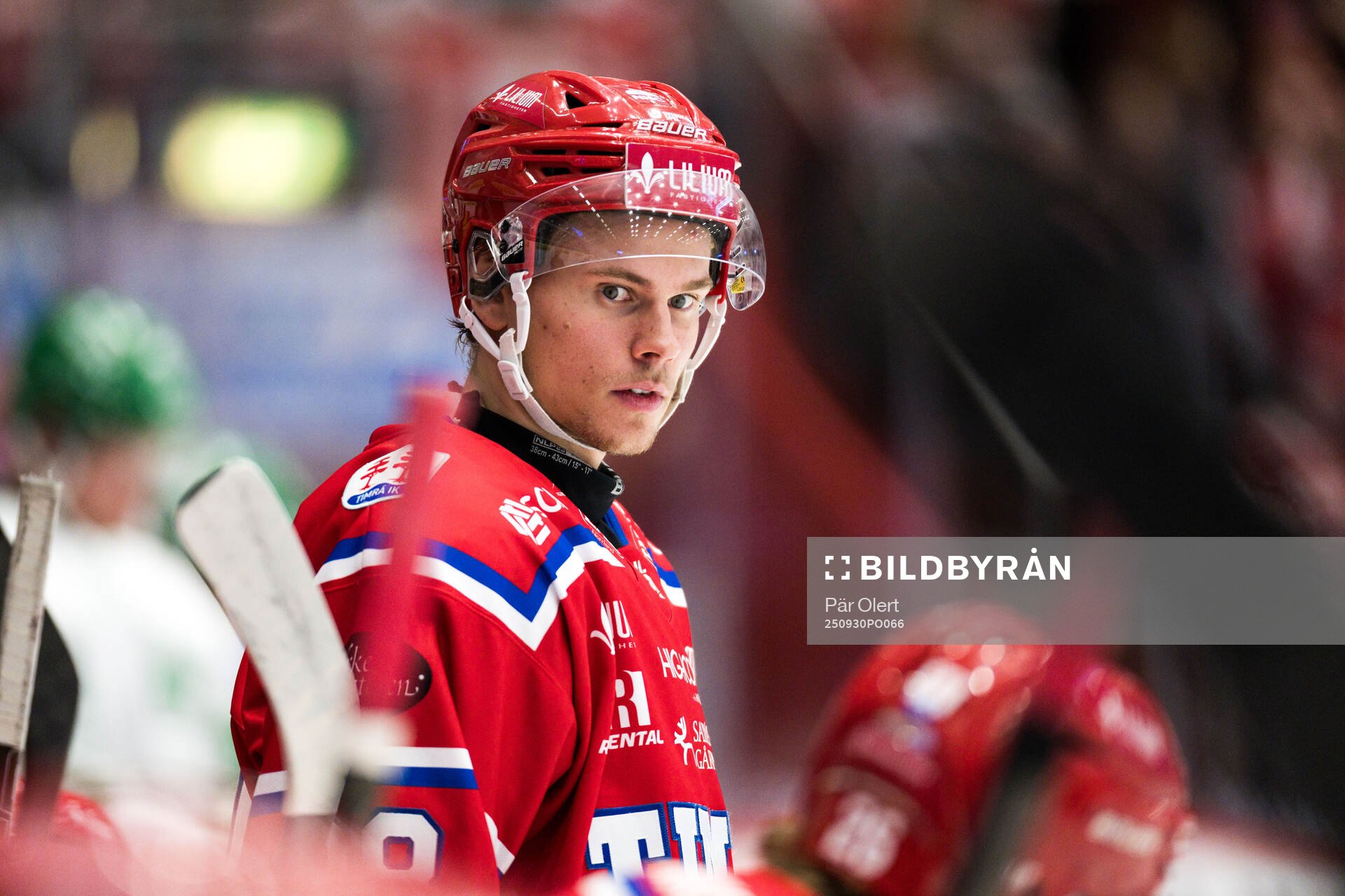 Timrås Albin Sundin