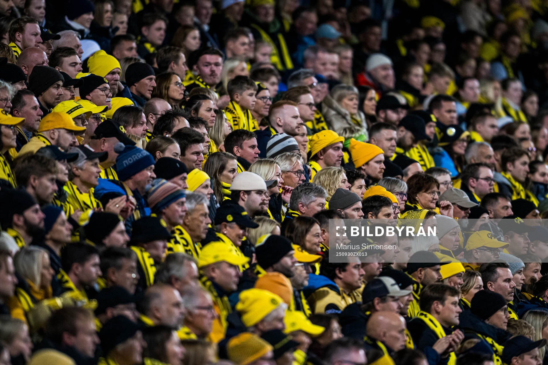 Spectators in the stands