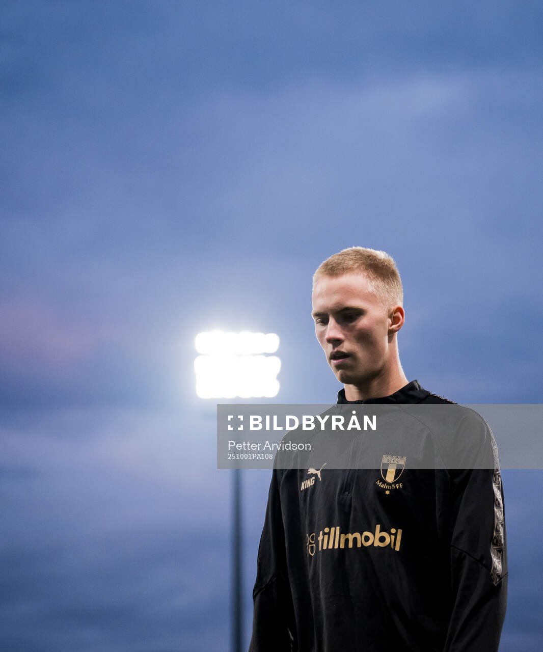 Daniel Gudjohnsen