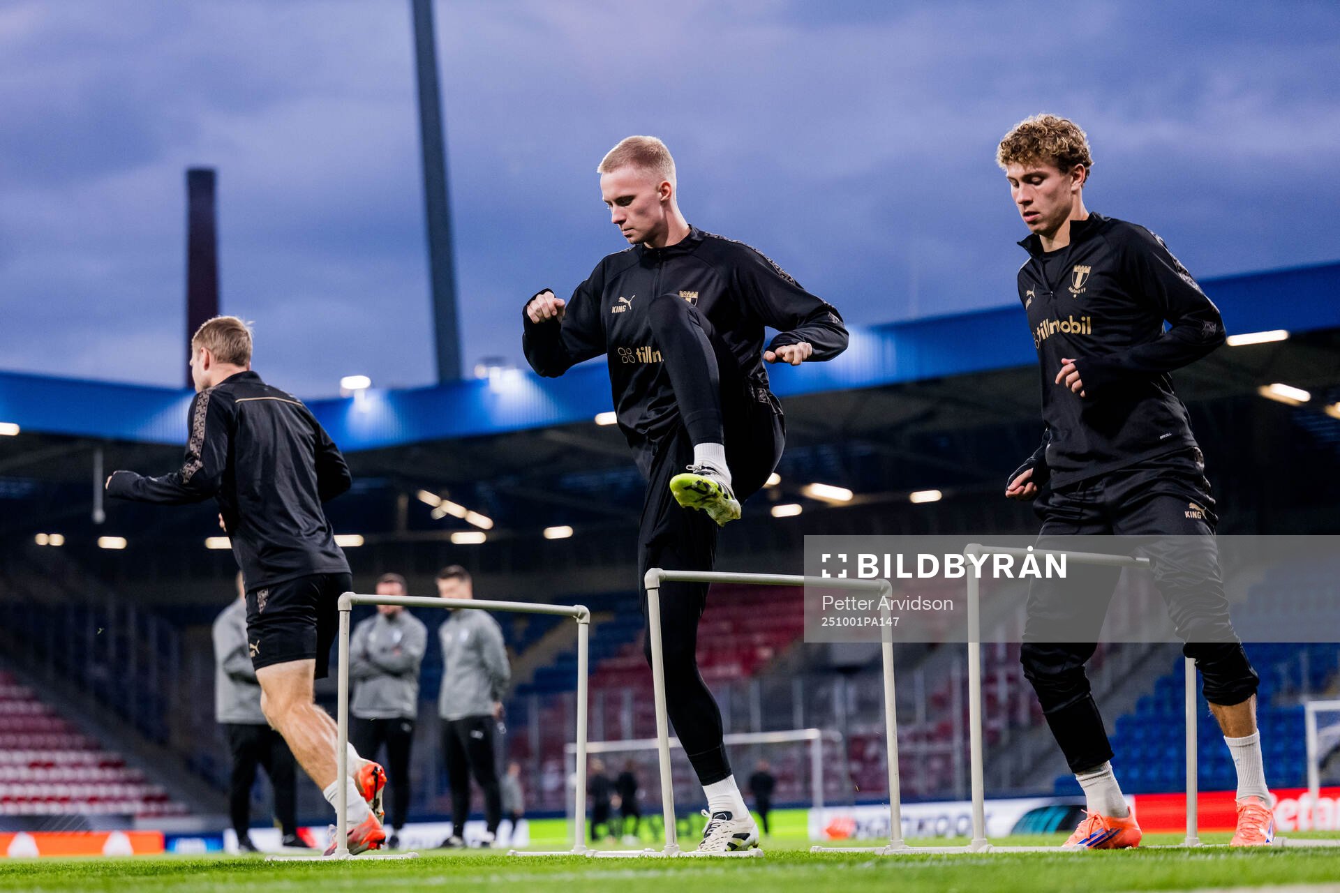 Daniel Gudjohnsen and Hugo Bolin