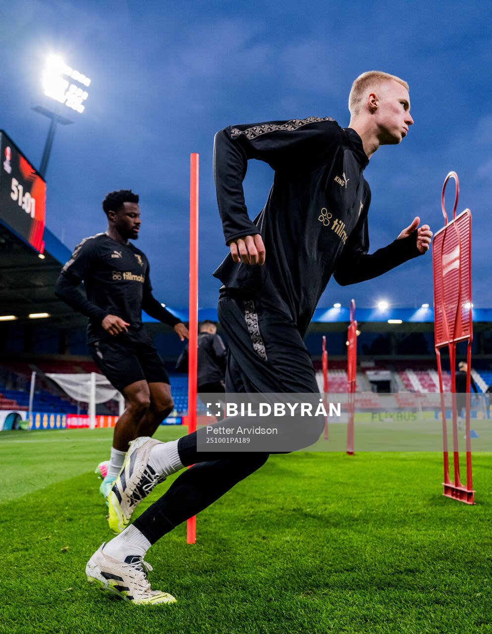 Daniel Gudjohnsen