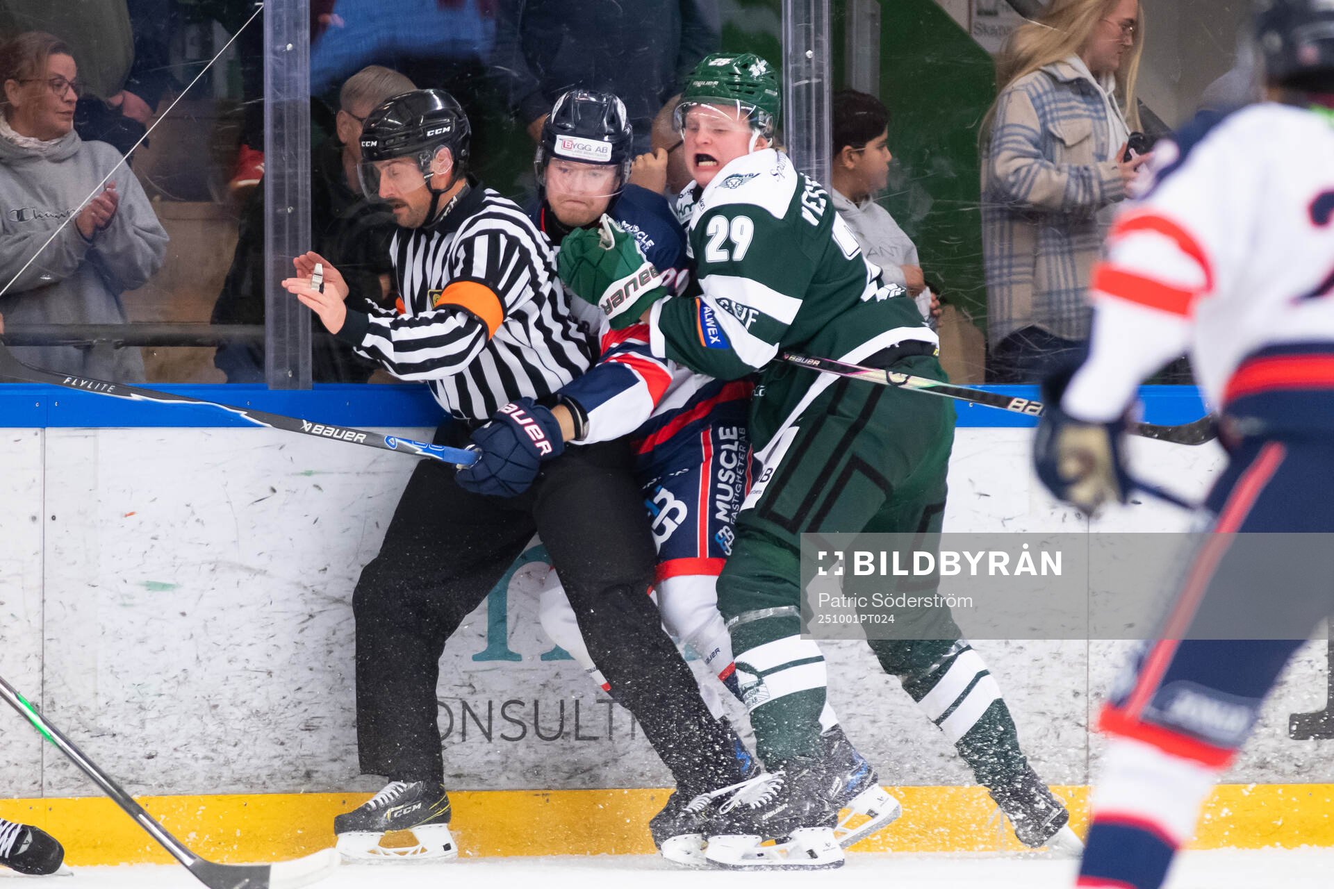 Domare Robin Werner, Halmstads Tom Johansson  och Tingsryds
