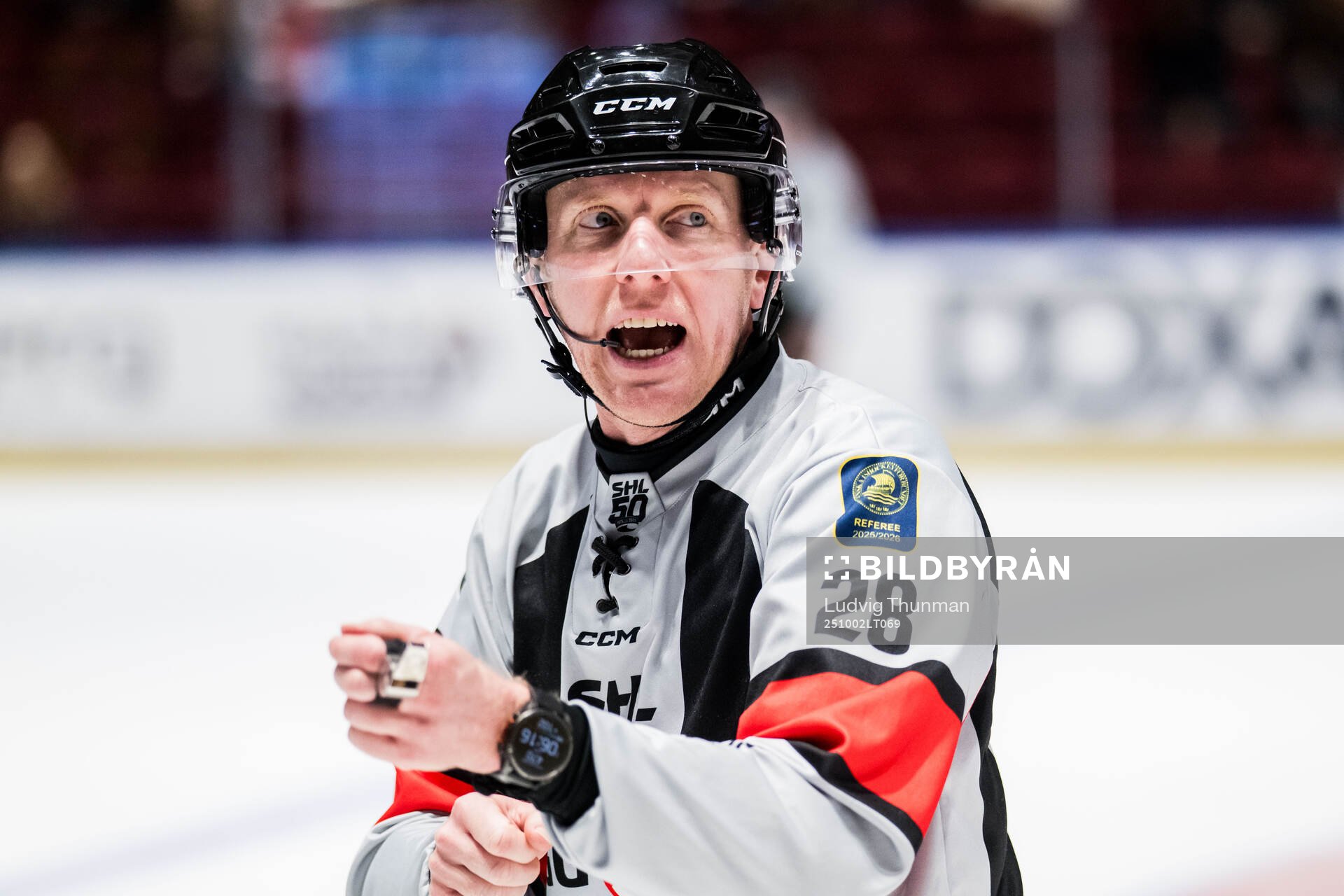 Domare Mikael Holm