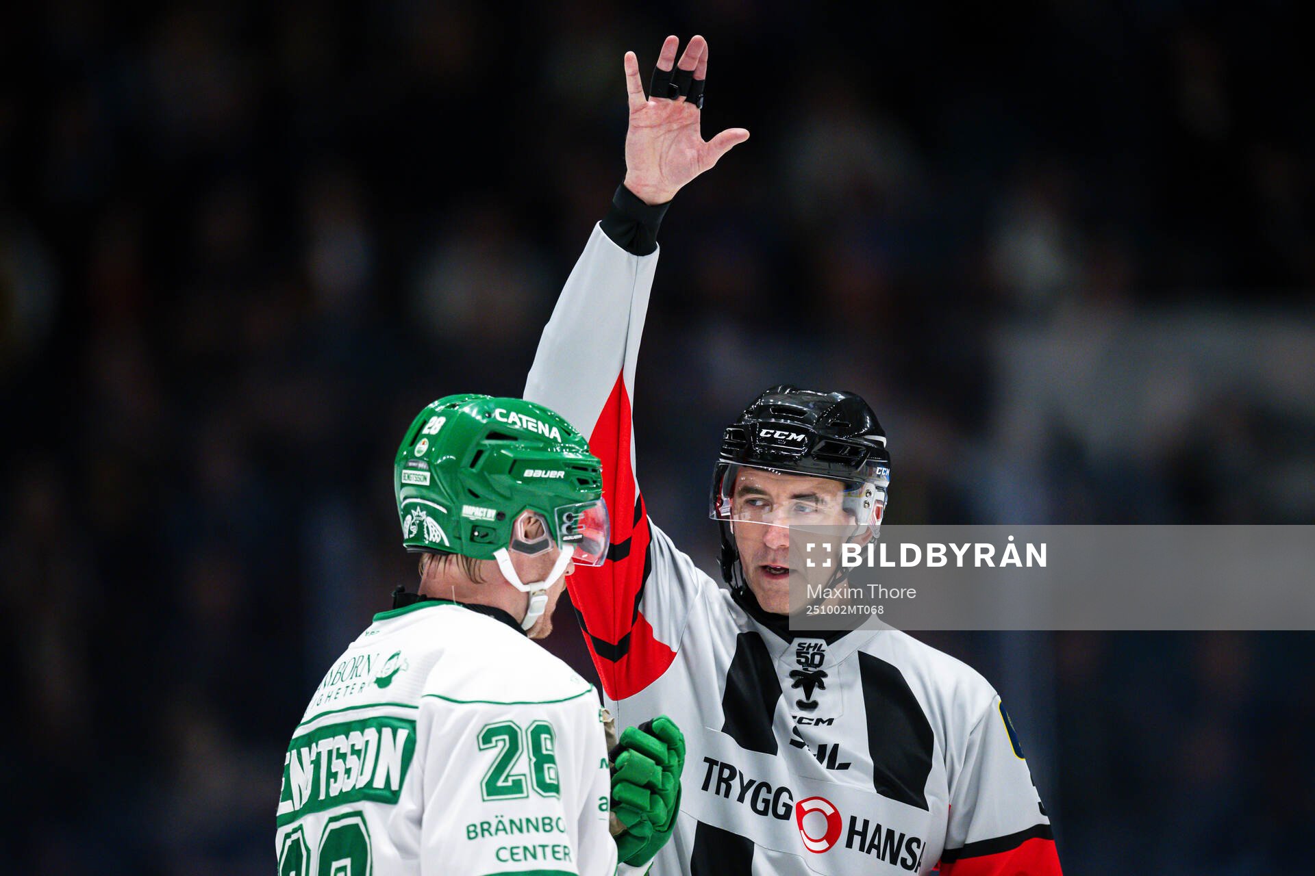 Domare Linus Öhlund och Rögles Anton Bengtsson