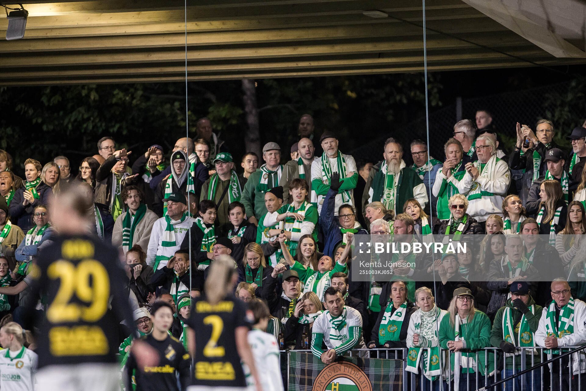Hammarbys supportrar