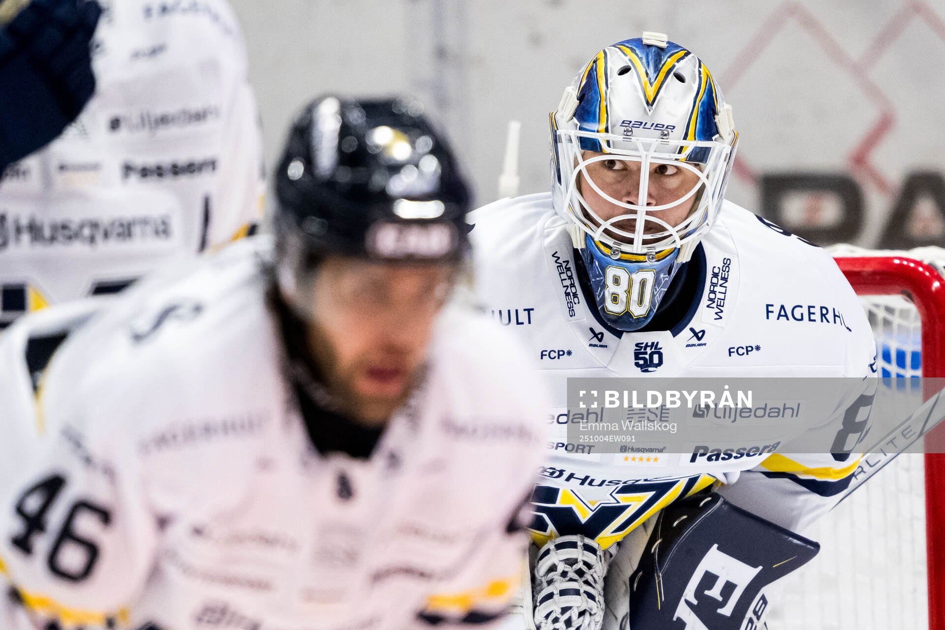 HV71s målvakt Frederik Dichow