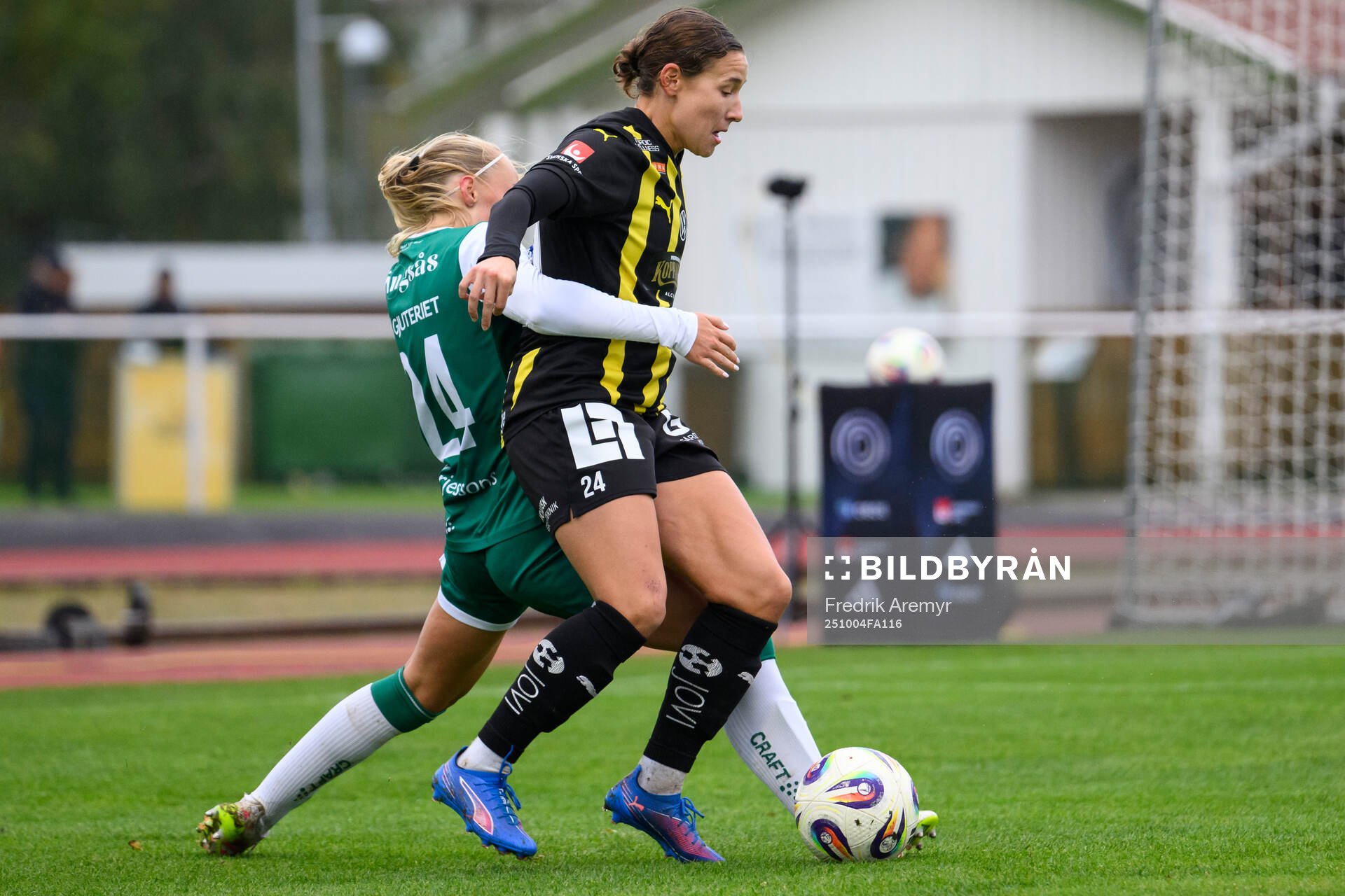 Alingsås Saga Fredgren och Häckens Tabby Tindell