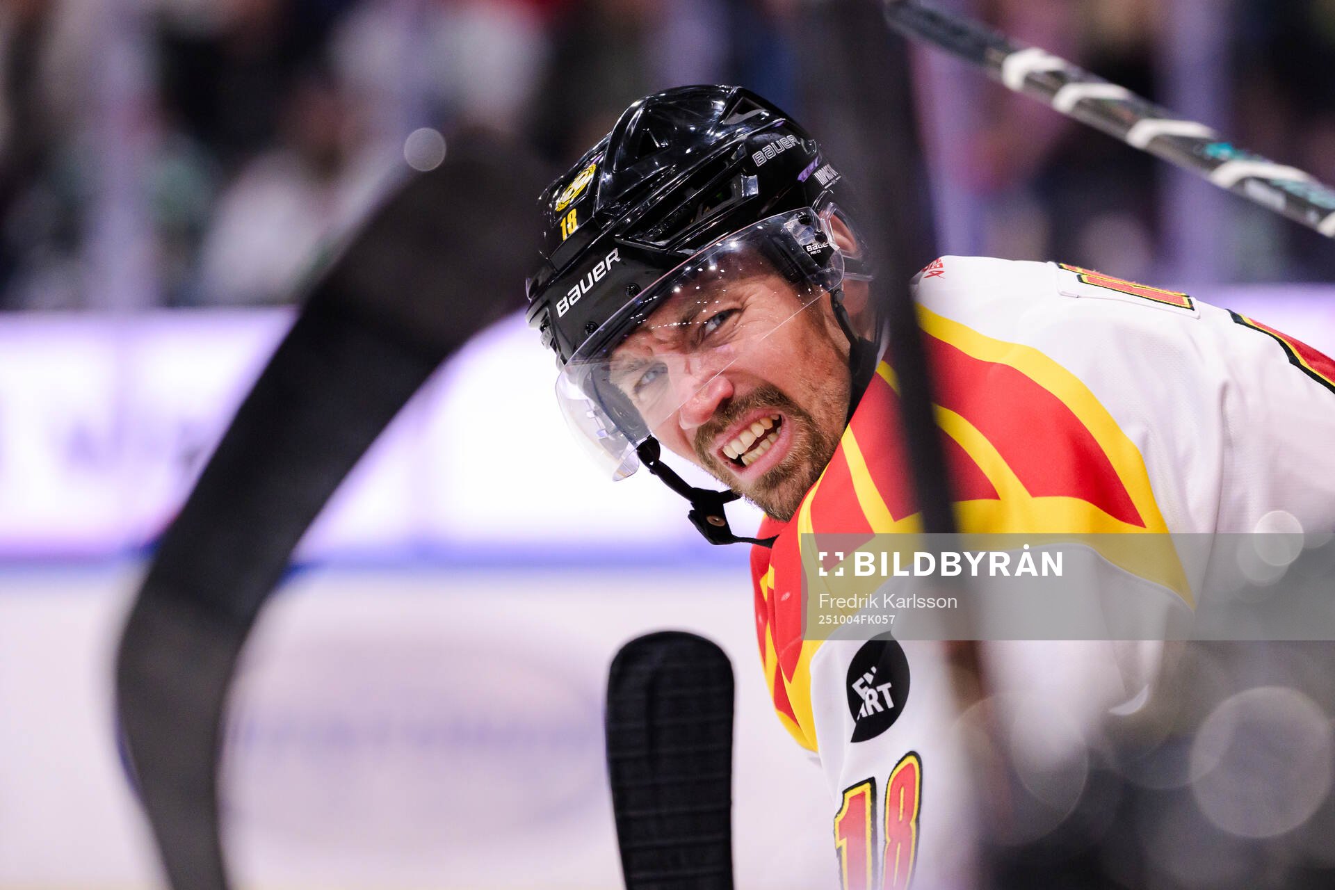 Brynäs Anton Rödin