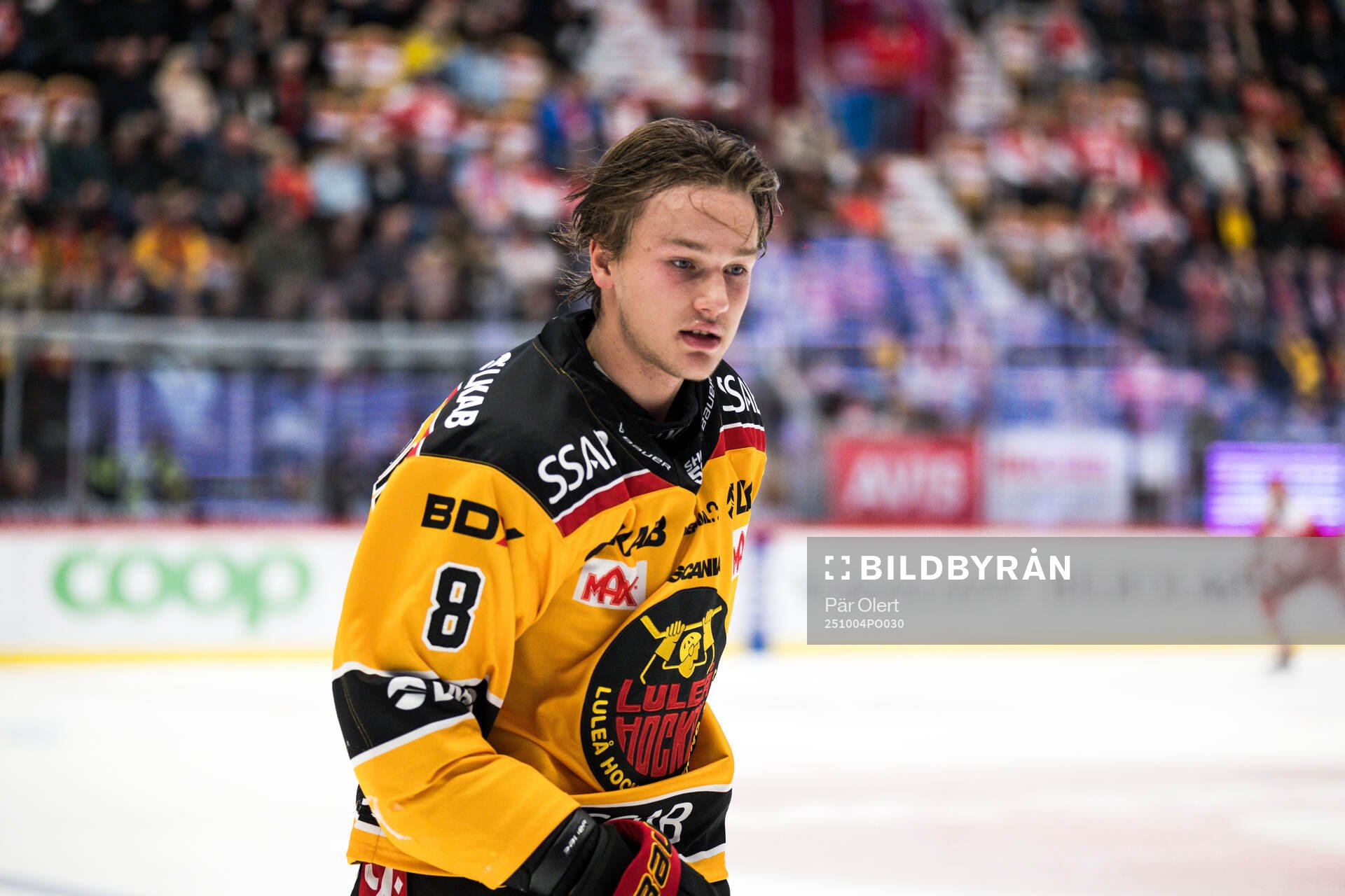 Luleås William Håkansson