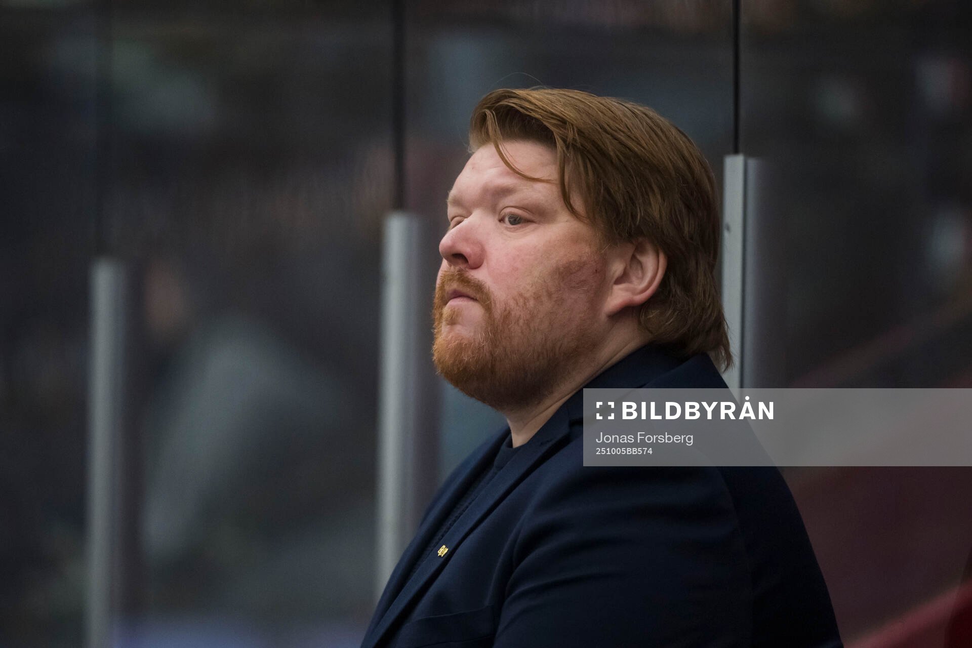 HV71s tränare Thomas Pettersen