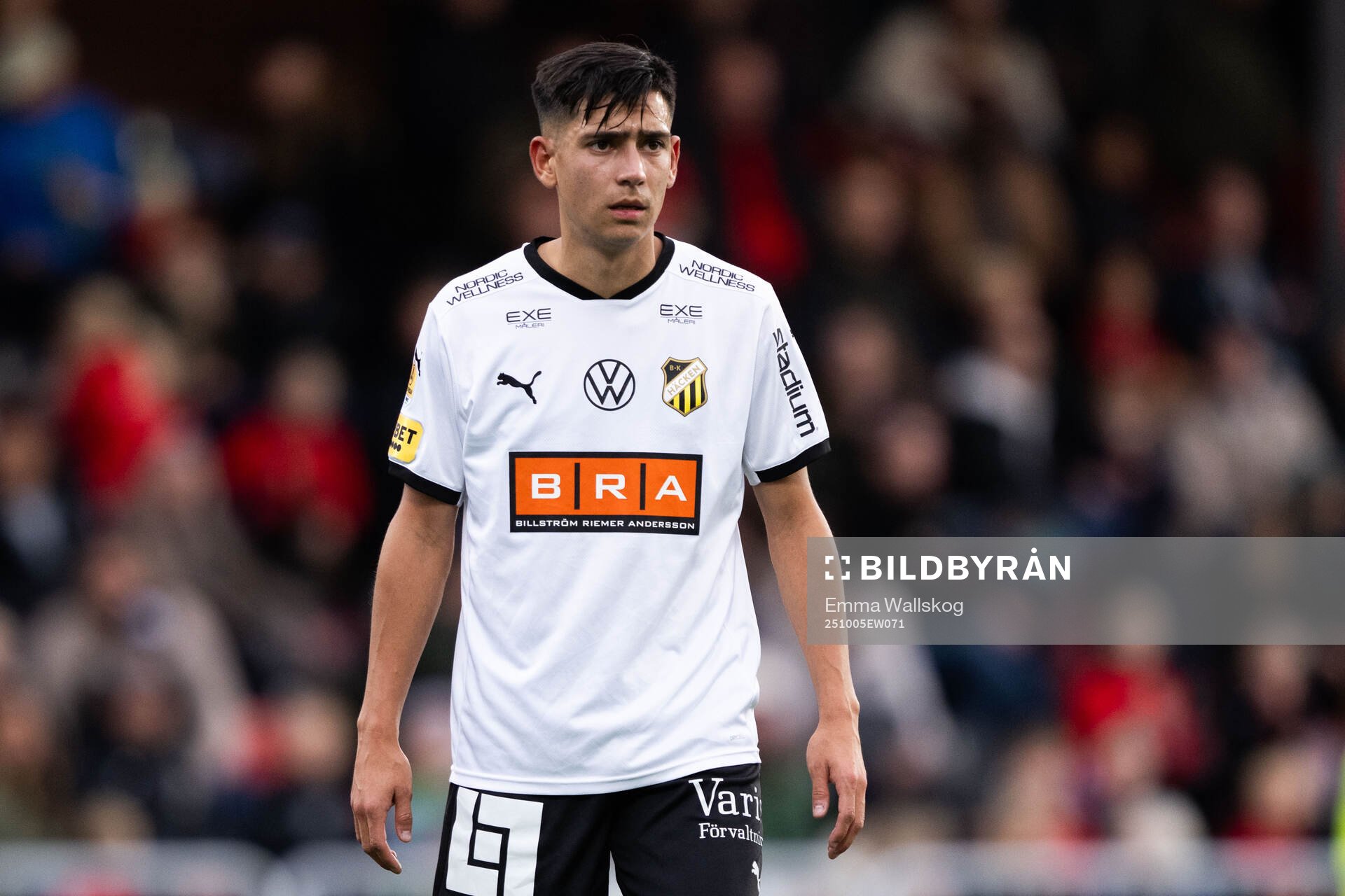 Häckens Danilo Al-Saed