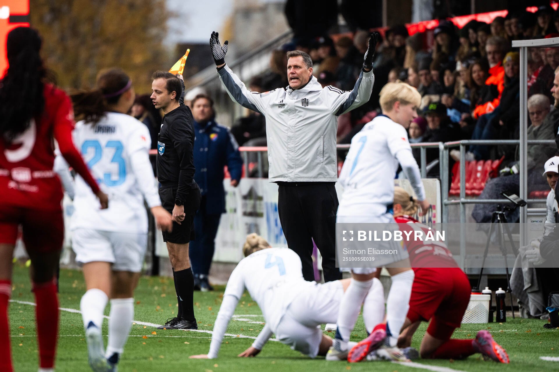 Piteås tränare Fredrik Bernhardsson