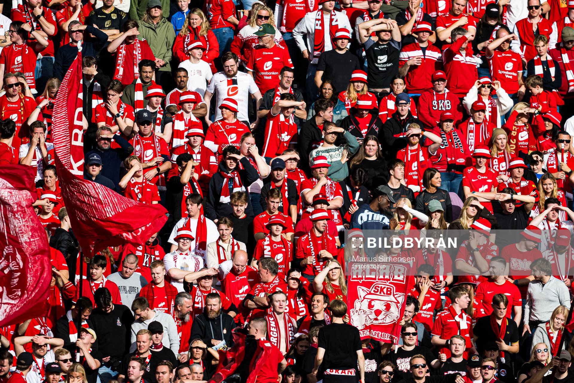 Spectators in the stands